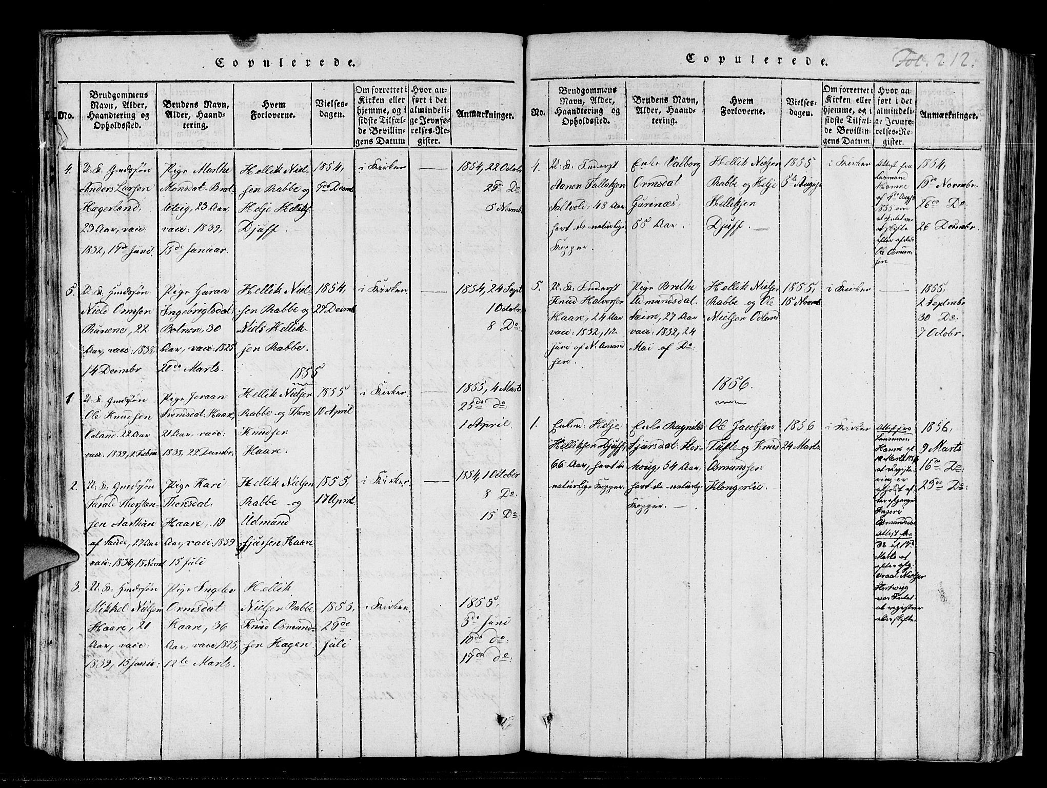 Røldal sokneprestembete, SAB/A-100247: Parish register (official) no. A 2, 1817-1856, p. 212