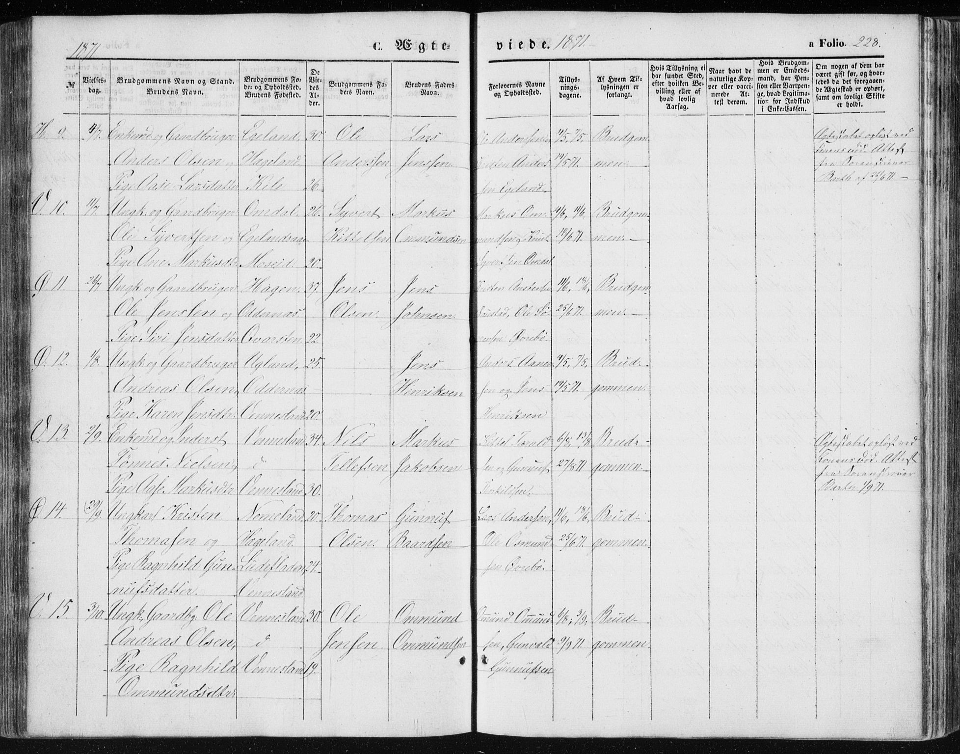 Vennesla sokneprestkontor, SAK/1111-0045/Fa/Fac/L0007: Parish register (official) no. A 7, 1855-1873, p. 228