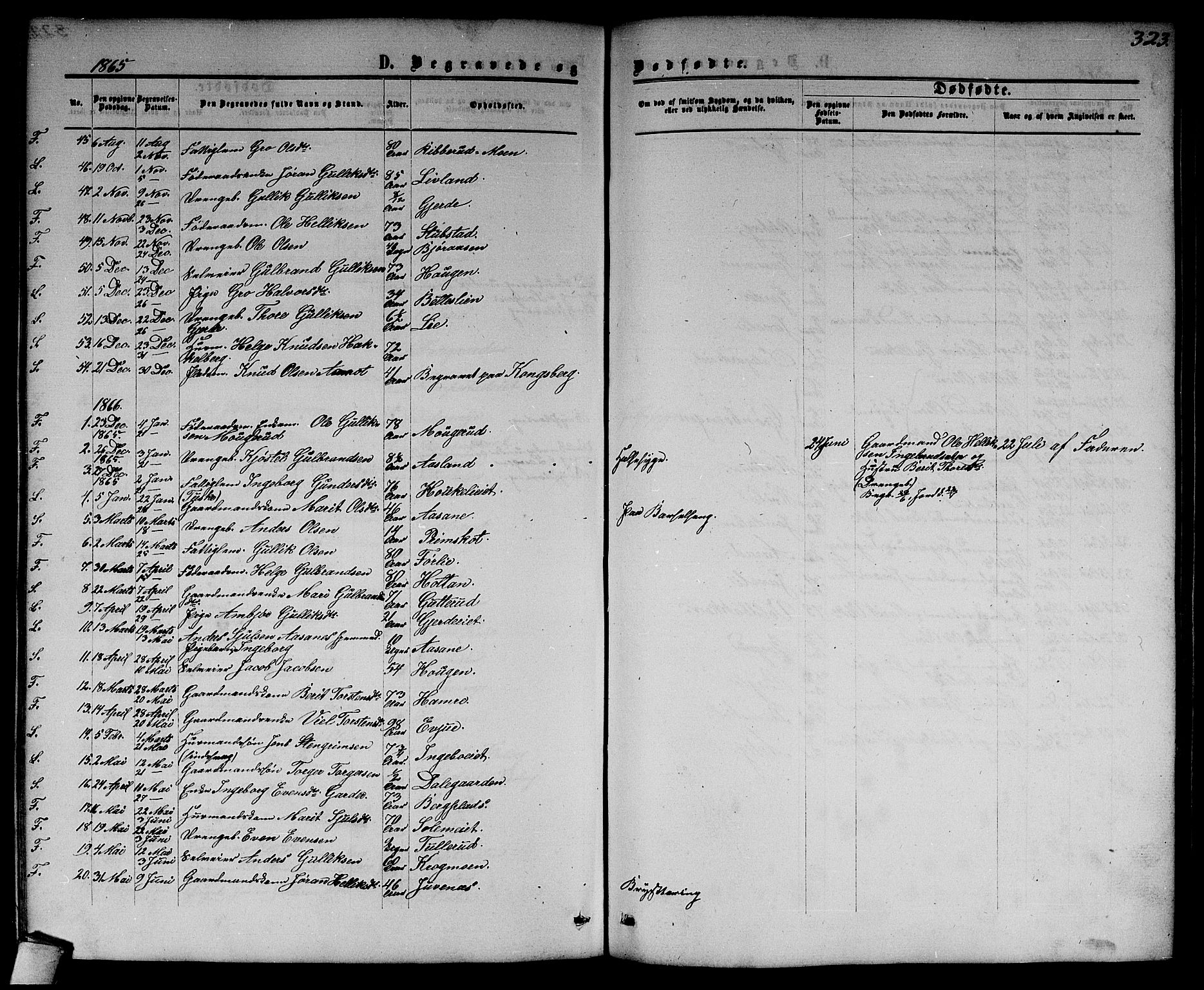 Flesberg kirkebøker, SAKO/A-18/G/Ga/L0003: Parish register (copy) no. I 3, 1861-1889, p. 323