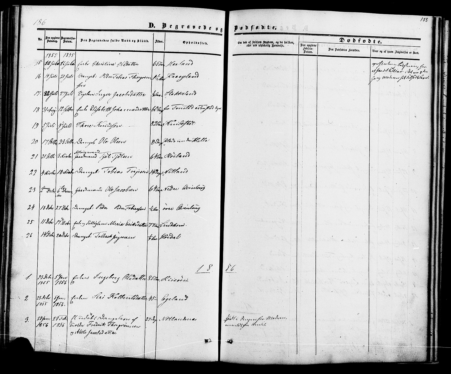 Fjotland sokneprestkontor, AV/SAK-1111-0010/F/Fa/L0001: Parish register (official) no. A 1, 1850-1879, p. 173