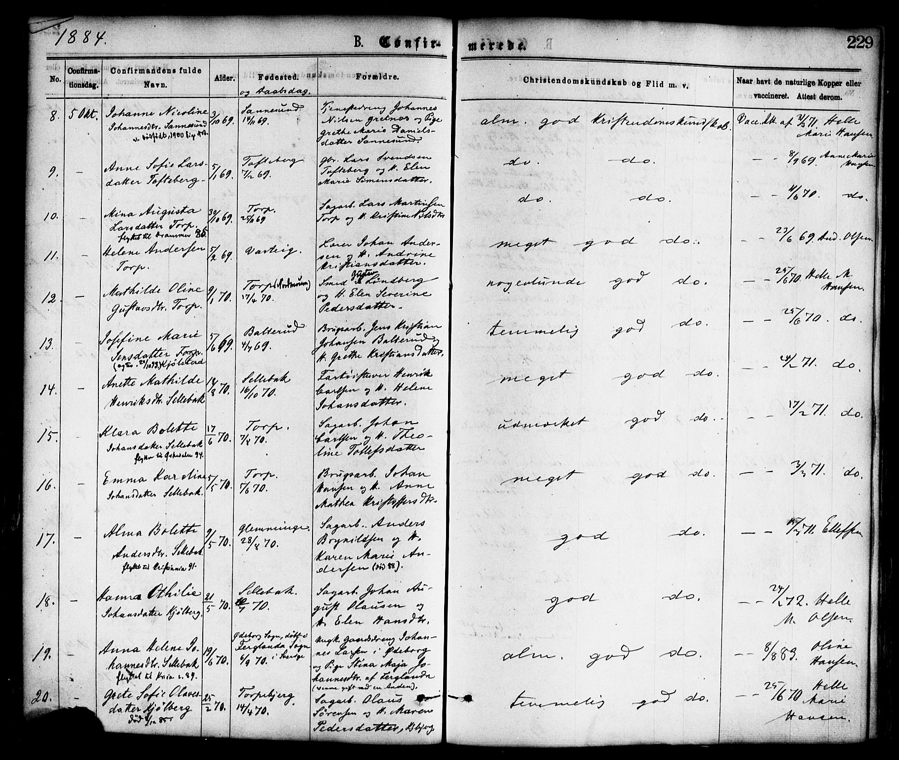 Borge prestekontor Kirkebøker, SAO/A-10903/F/Fa/L0007: Parish register (official) no. I 7, 1875-1886, p. 229