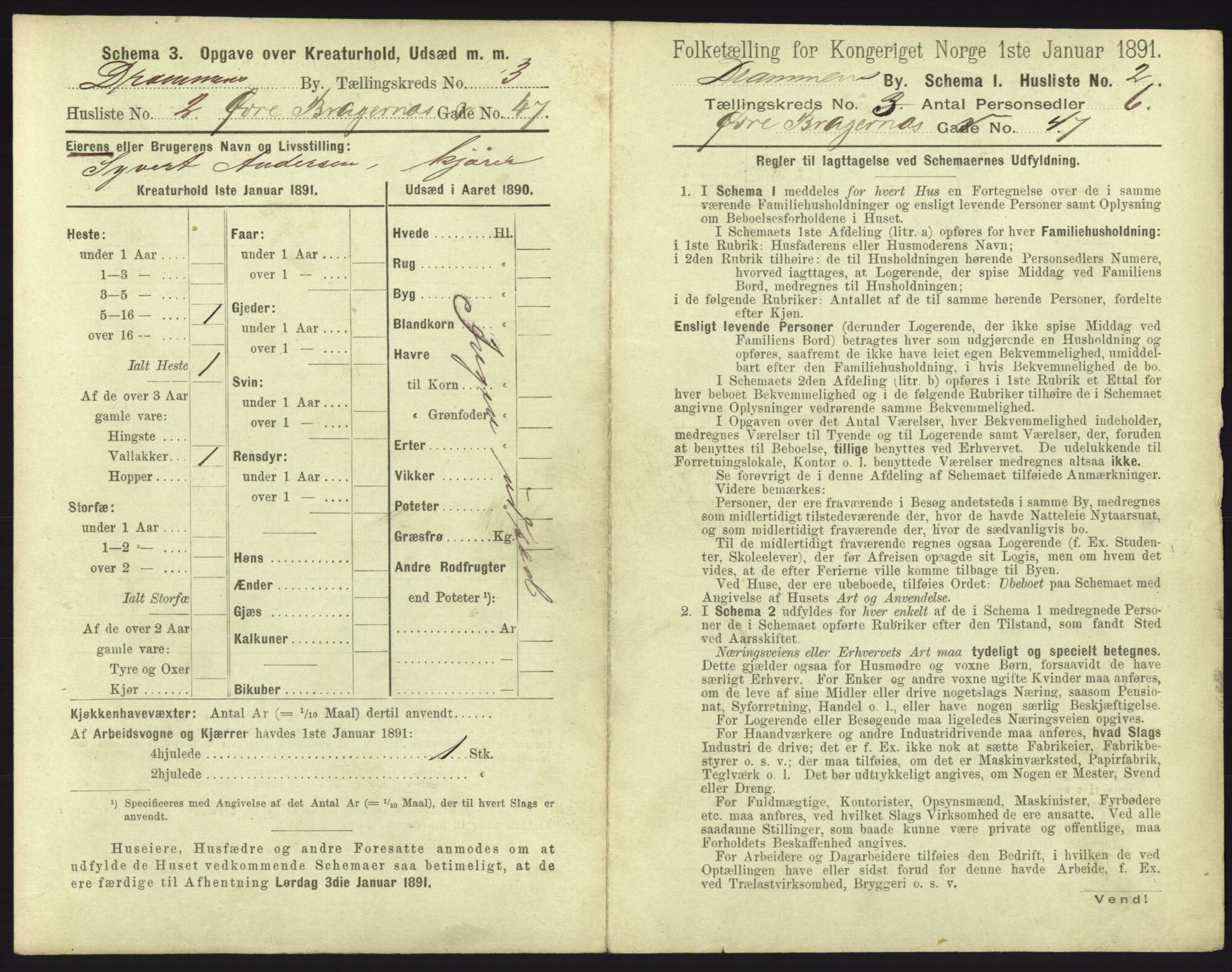 RA, 1891 census for 0602 Drammen, 1891, p. 307