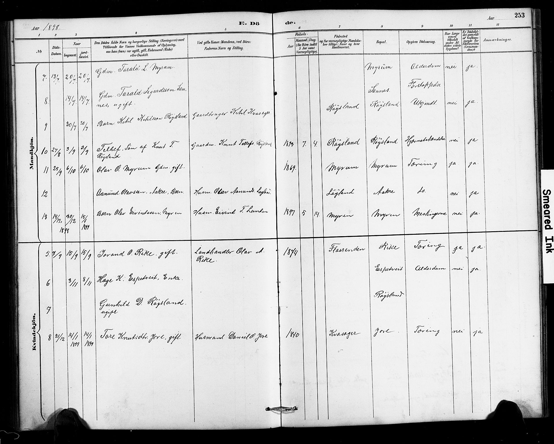 Valle sokneprestkontor, SAK/1111-0044/F/Fb/Fbc/L0004: Parish register (copy) no. B 4, 1890-1928, p. 253
