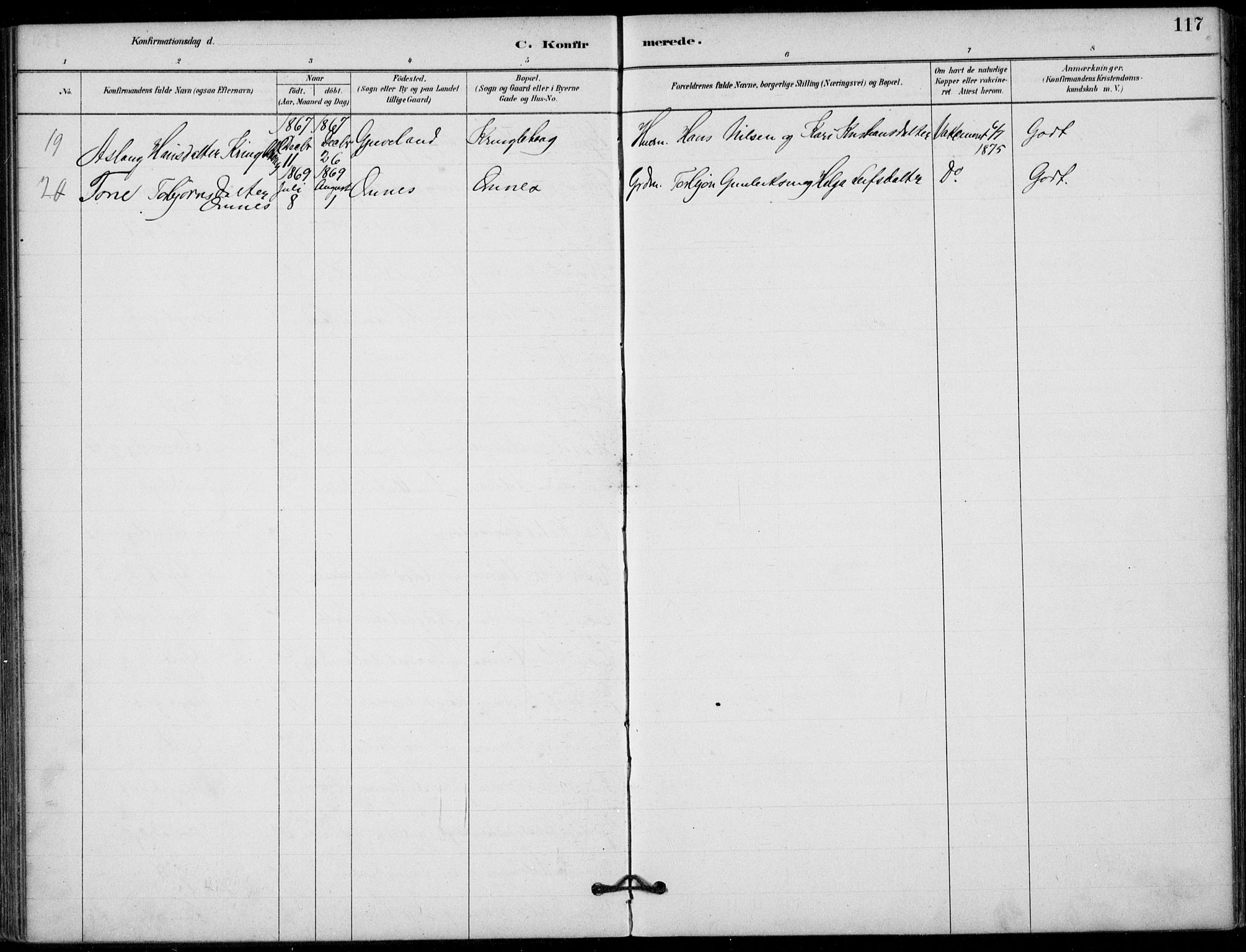 Hjartdal kirkebøker, SAKO/A-270/F/Fb/L0002: Parish register (official) no. II 2, 1880-1932, p. 117