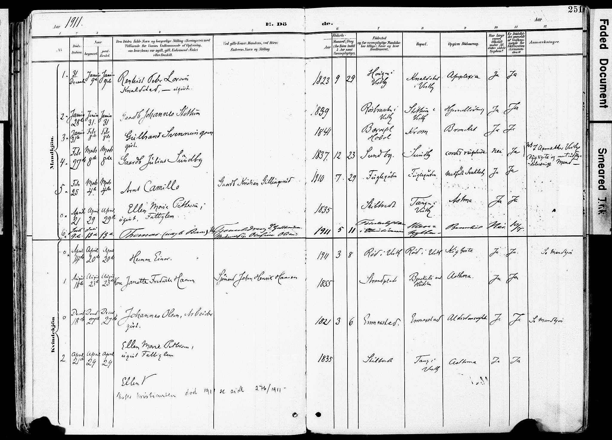 Vestby prestekontor Kirkebøker, AV/SAO-A-10893/F/Fa/L0010: Parish register (official) no. I 10, 1900-1926, p. 251