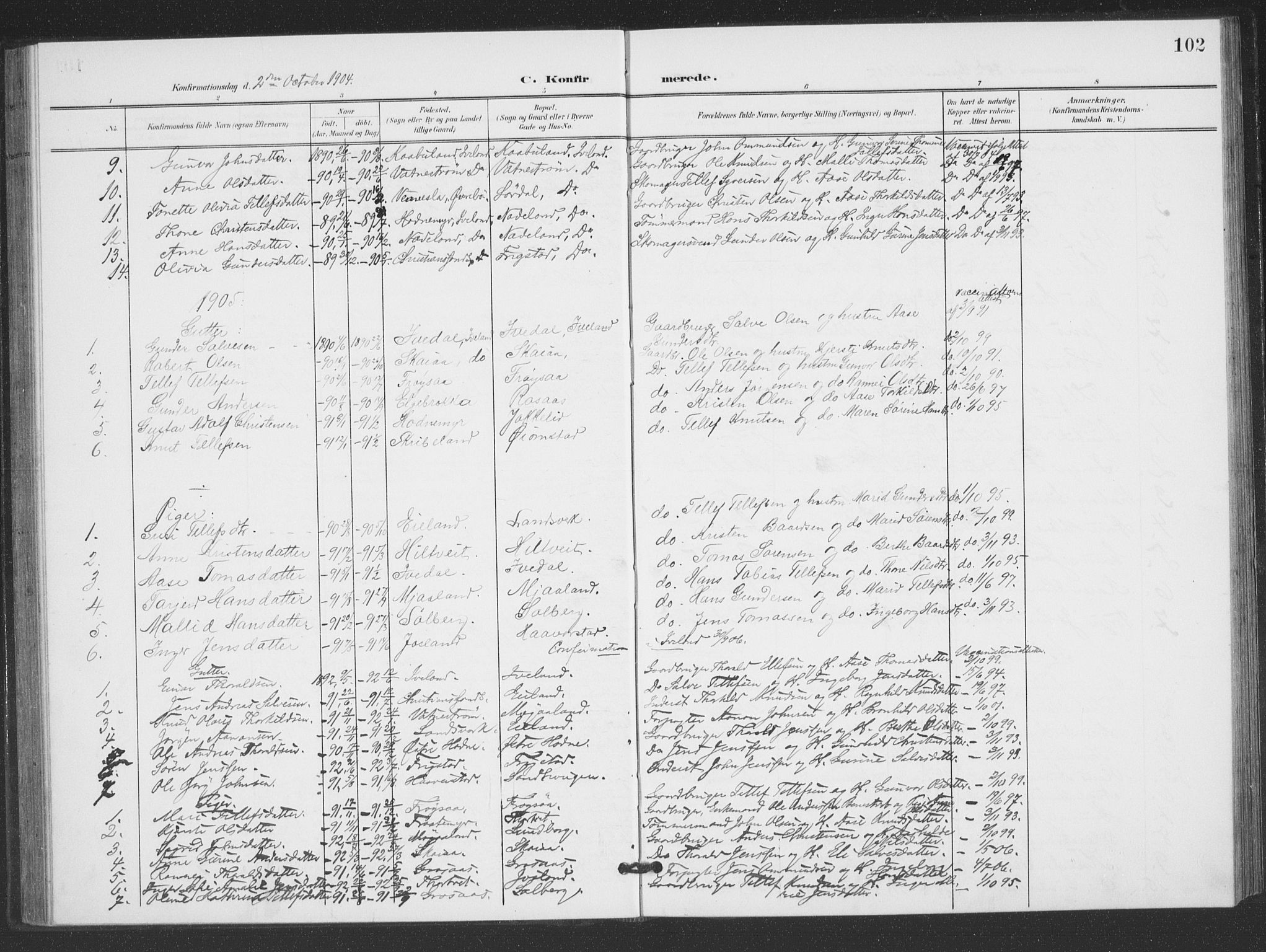 Evje sokneprestkontor, SAK/1111-0008/F/Fb/Fbc/L0005: Parish register (copy) no. B 5, 1901-1935, p. 102