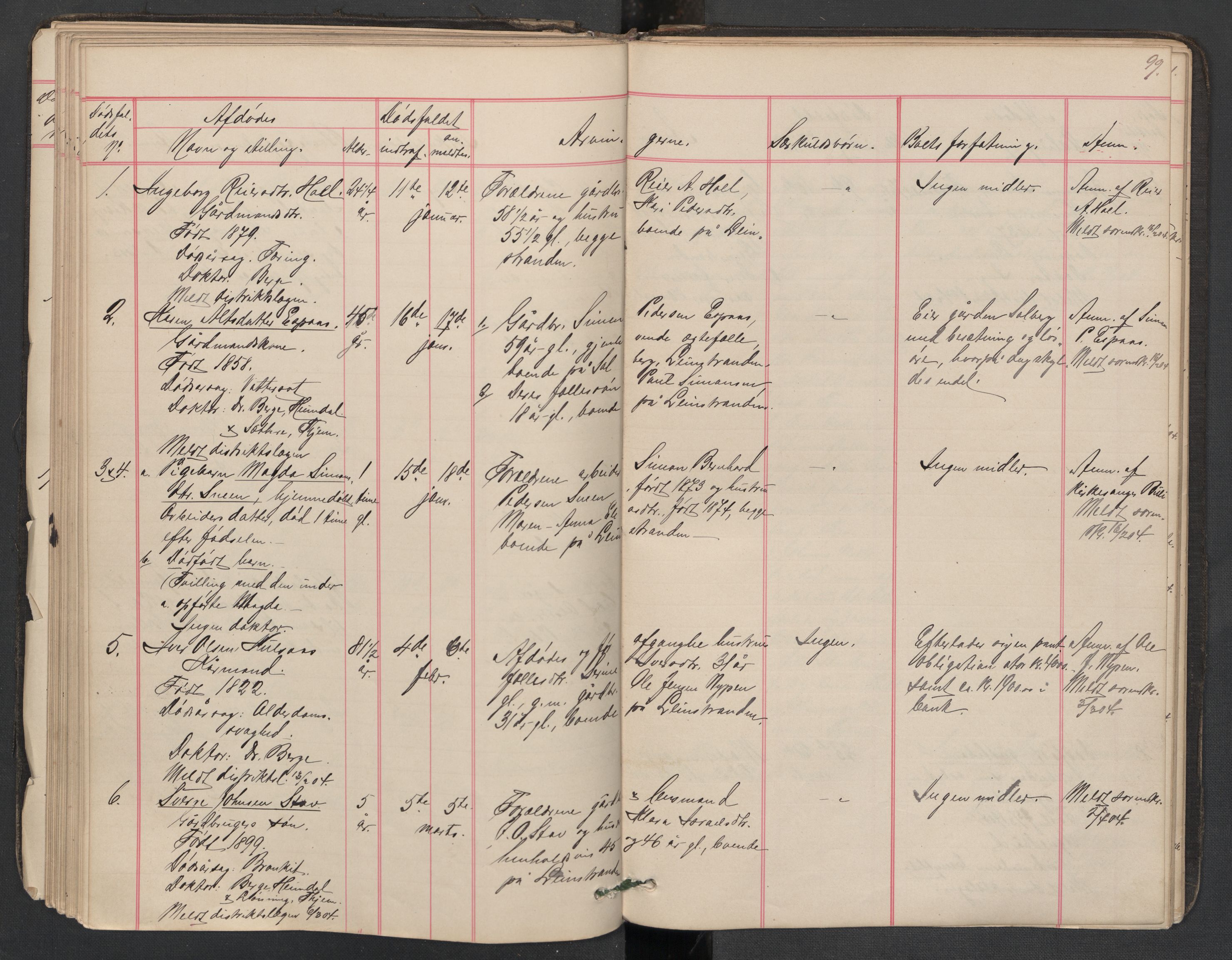 Leinstrand lensmannskontor, SAT/A-1060/1/02/L0002: 02.01.02 Dødsfallsprotokoll, 1890-1911, p. 99