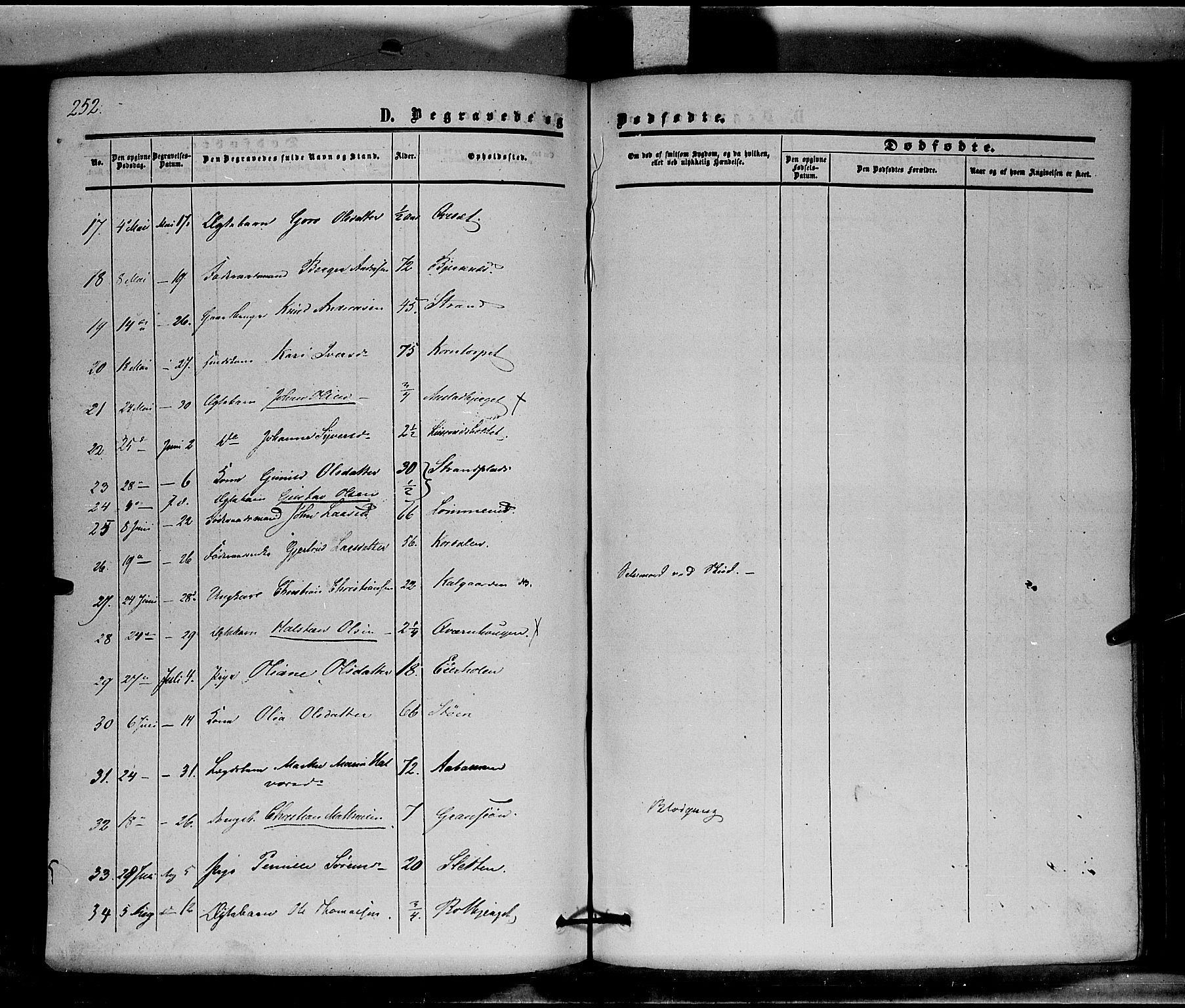 Hof prestekontor, SAH/PREST-038/H/Ha/Haa/L0008: Parish register (official) no. 8, 1849-1861, p. 252