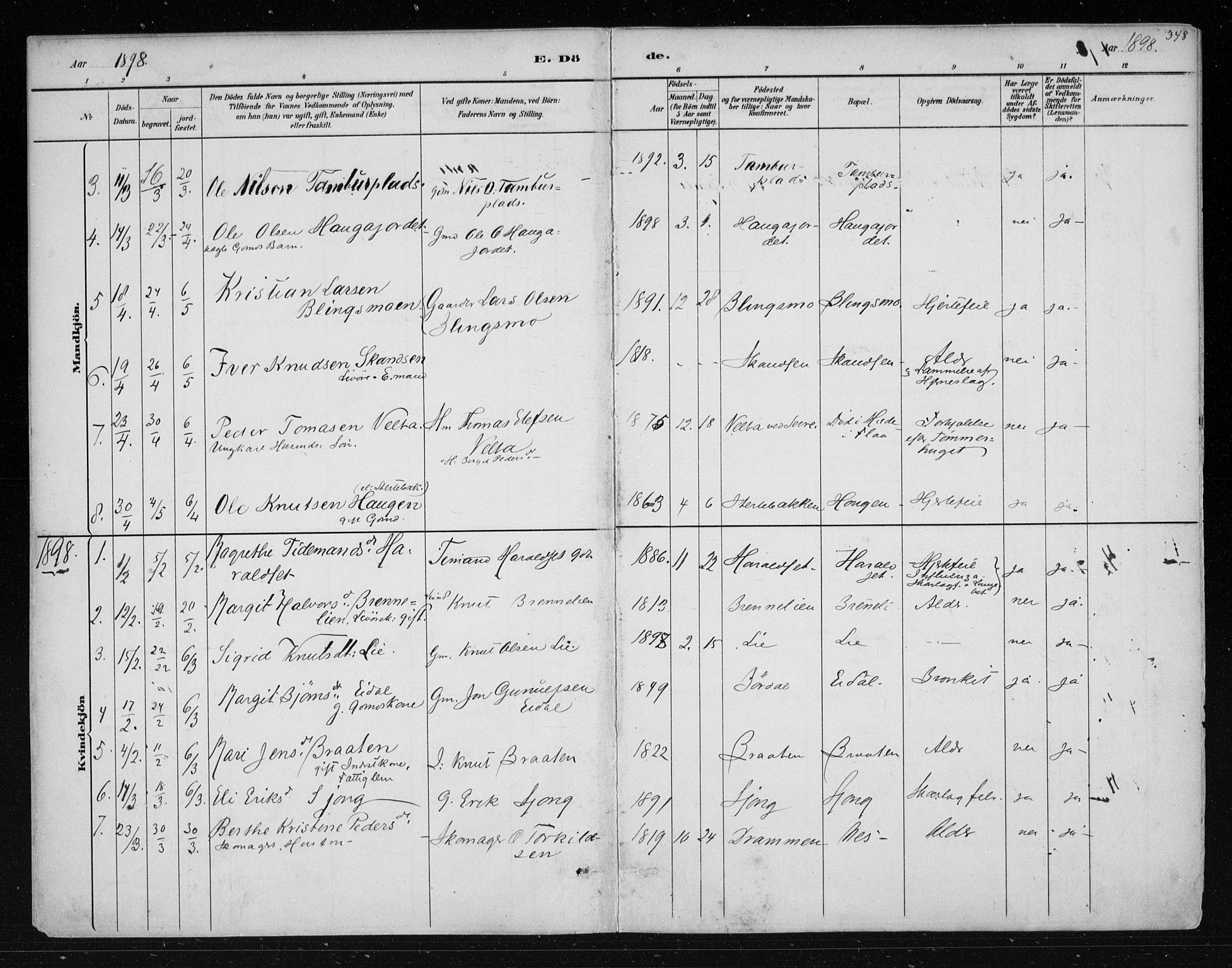 Nes kirkebøker, AV/SAKO-A-236/F/Fa/L0011: Parish register (official) no. 11, 1881-1912, p. 348