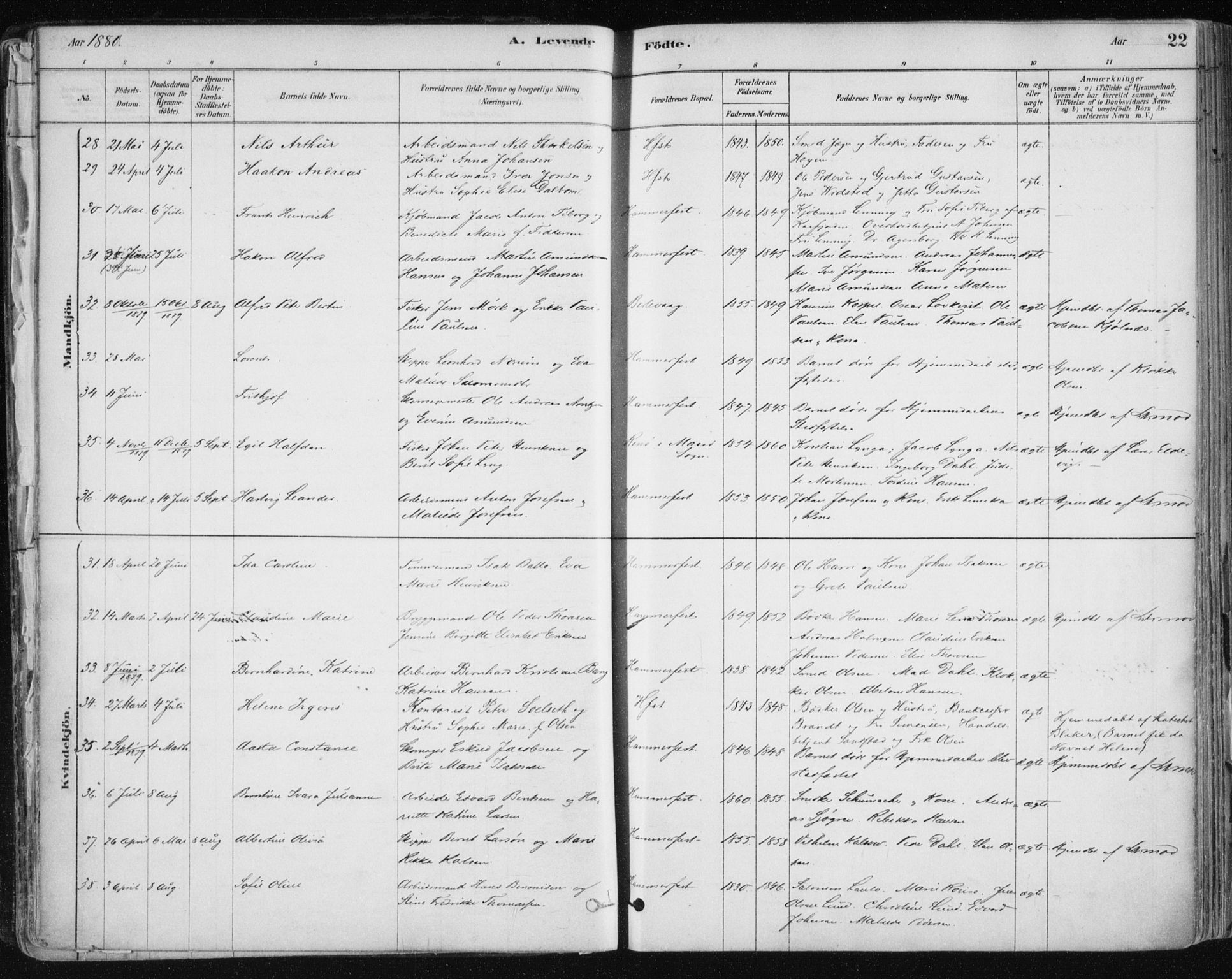 Hammerfest sokneprestkontor, SATØ/S-1347/H/Ha/L0008.kirke: Parish register (official) no. 8, 1878-1889, p. 22