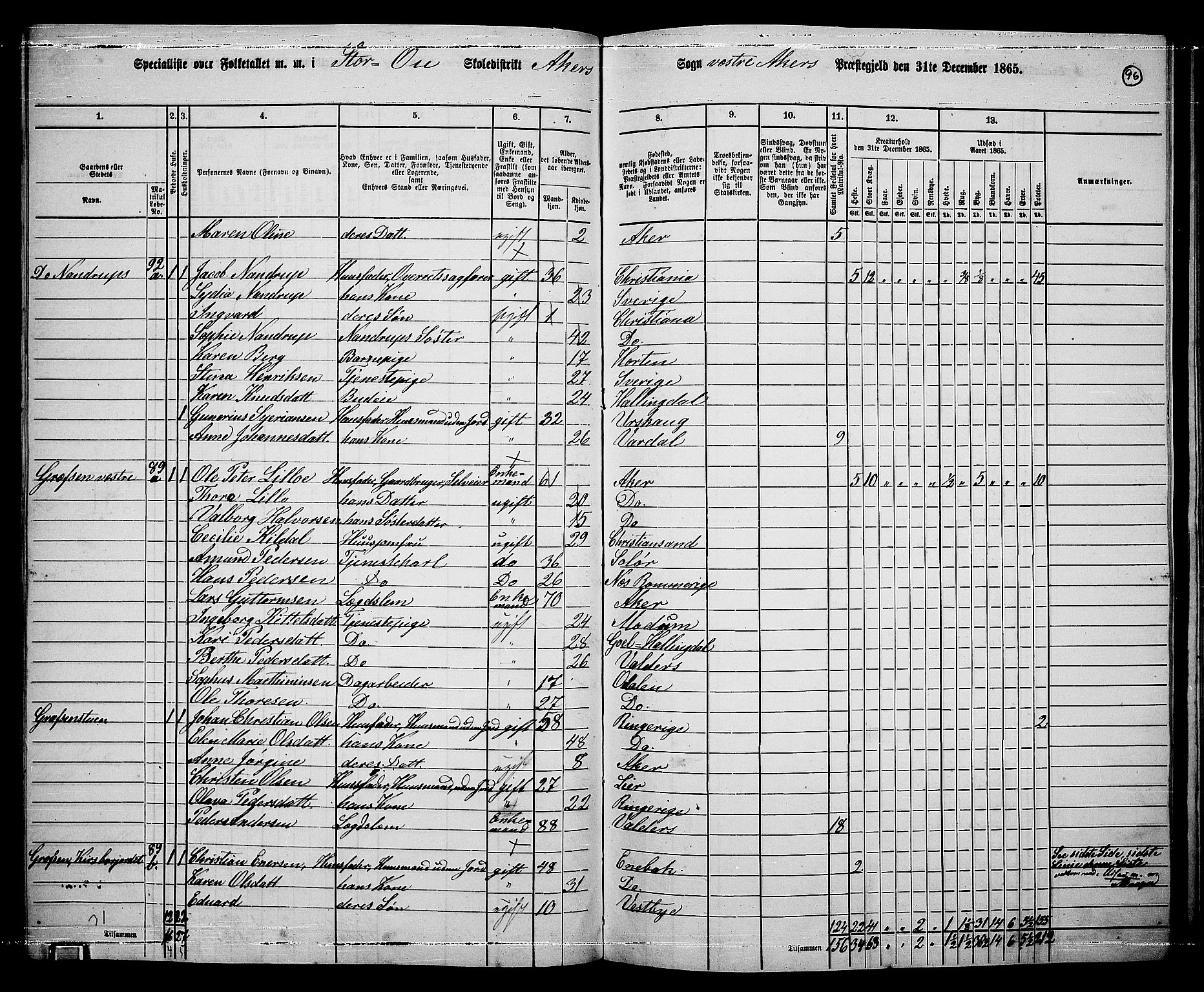 RA, 1865 census for Vestre Aker, 1865, p. 264