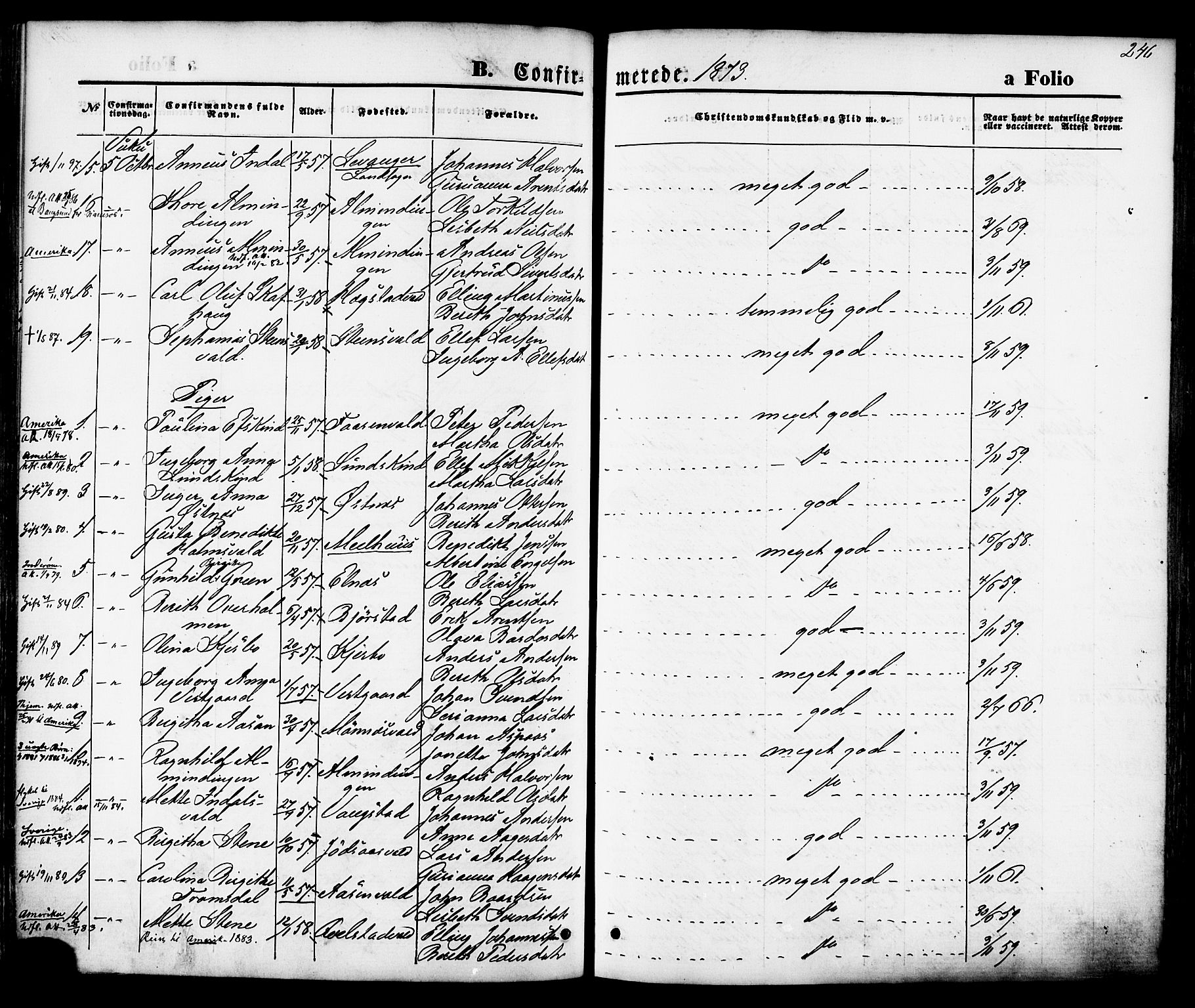 Ministerialprotokoller, klokkerbøker og fødselsregistre - Nord-Trøndelag, SAT/A-1458/723/L0242: Parish register (official) no. 723A11, 1870-1880, p. 246