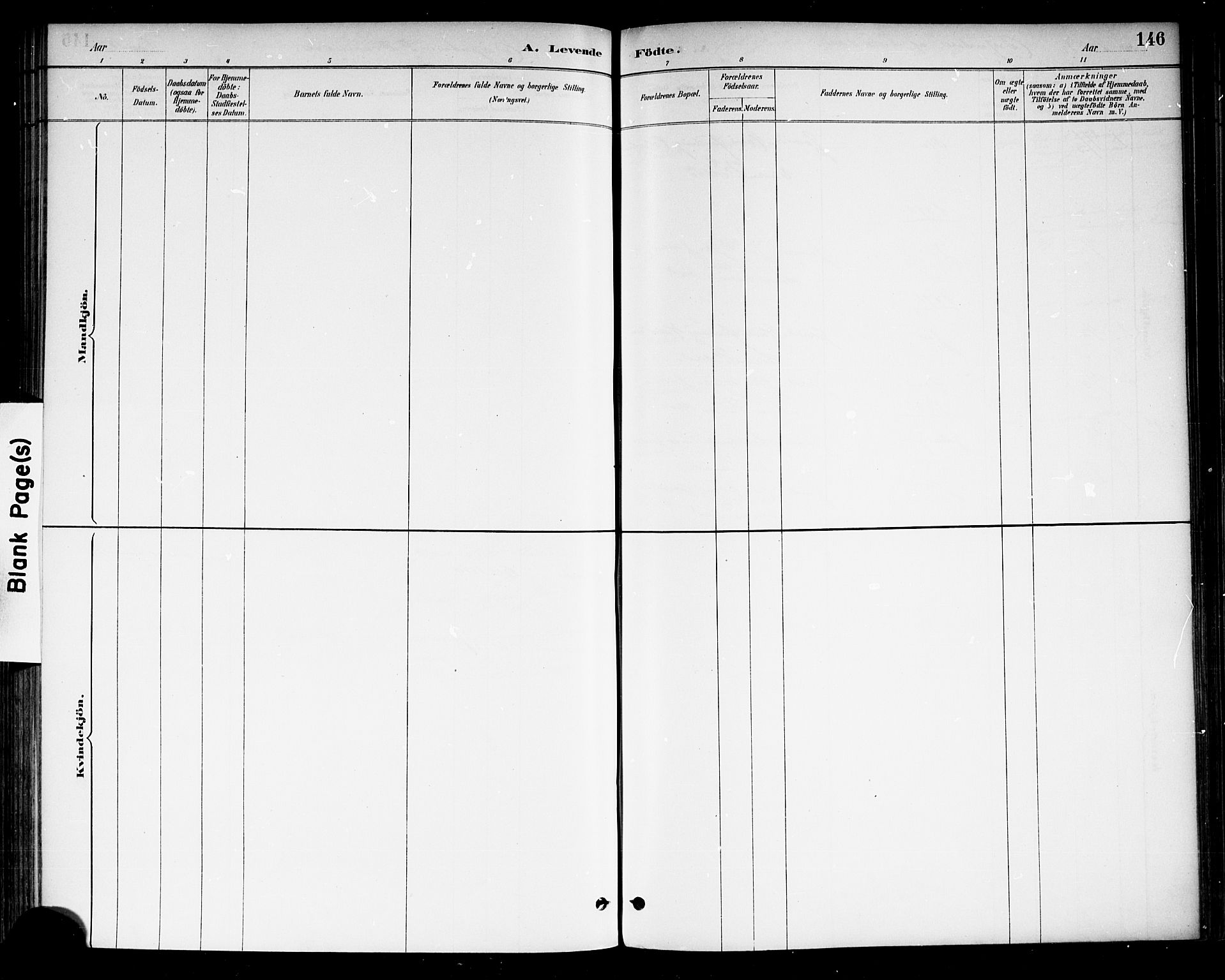 Drangedal kirkebøker, AV/SAKO-A-258/F/Fa/L0010: Parish register (official) no. 10 /1, 1885-1894, p. 146