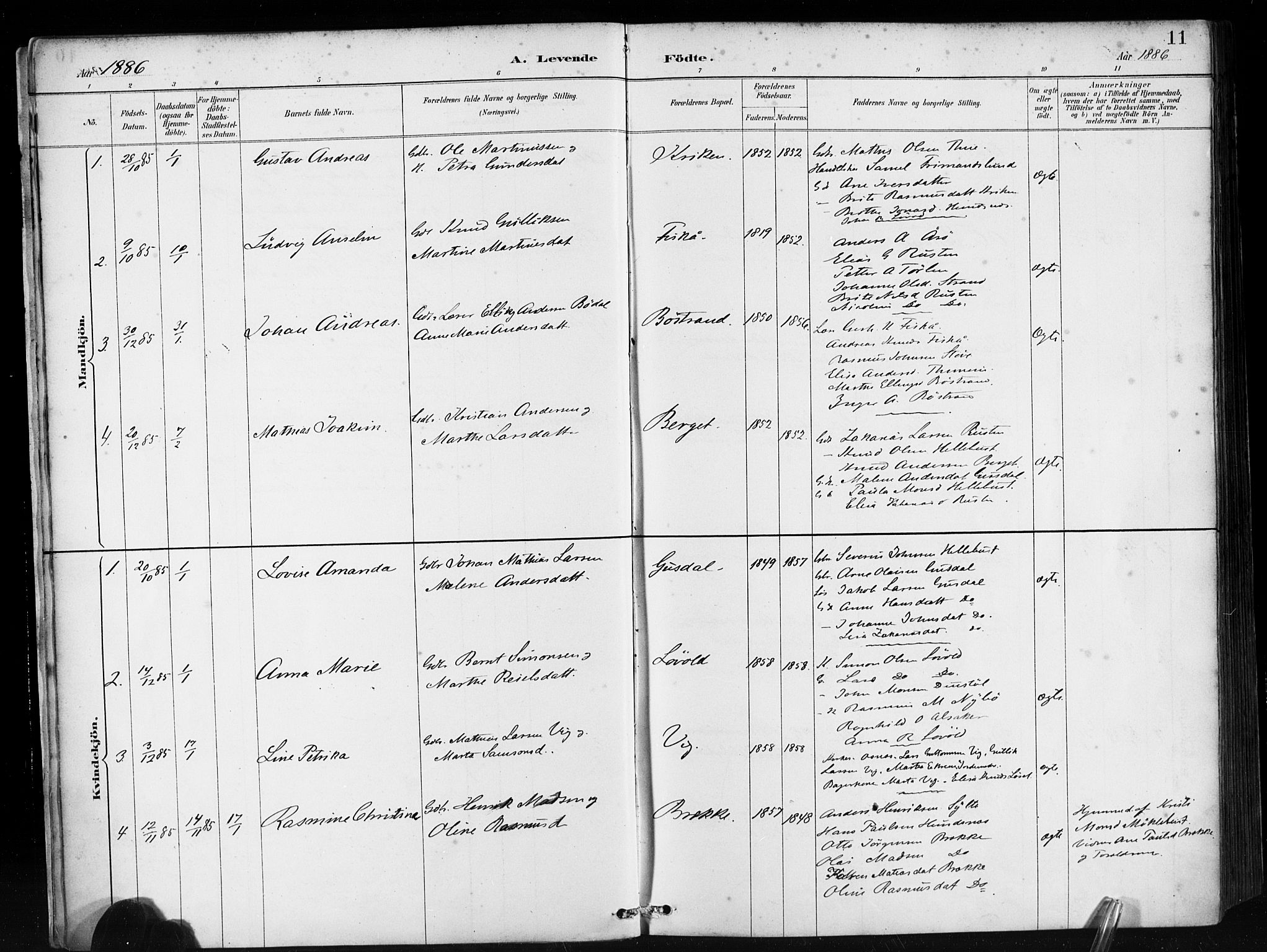 Ministerialprotokoller, klokkerbøker og fødselsregistre - Møre og Romsdal, AV/SAT-A-1454/501/L0008: Parish register (official) no. 501A08, 1885-1901, p. 11