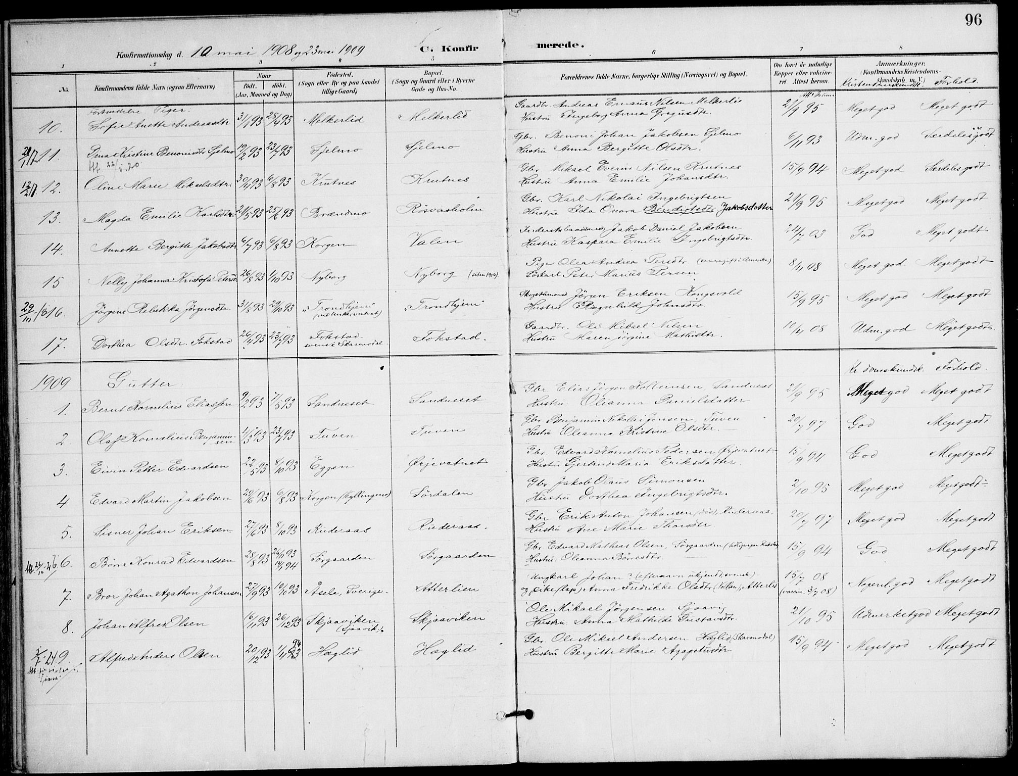 Ministerialprotokoller, klokkerbøker og fødselsregistre - Nordland, AV/SAT-A-1459/823/L0326: Parish register (official) no. 823A03, 1899-1919, p. 96