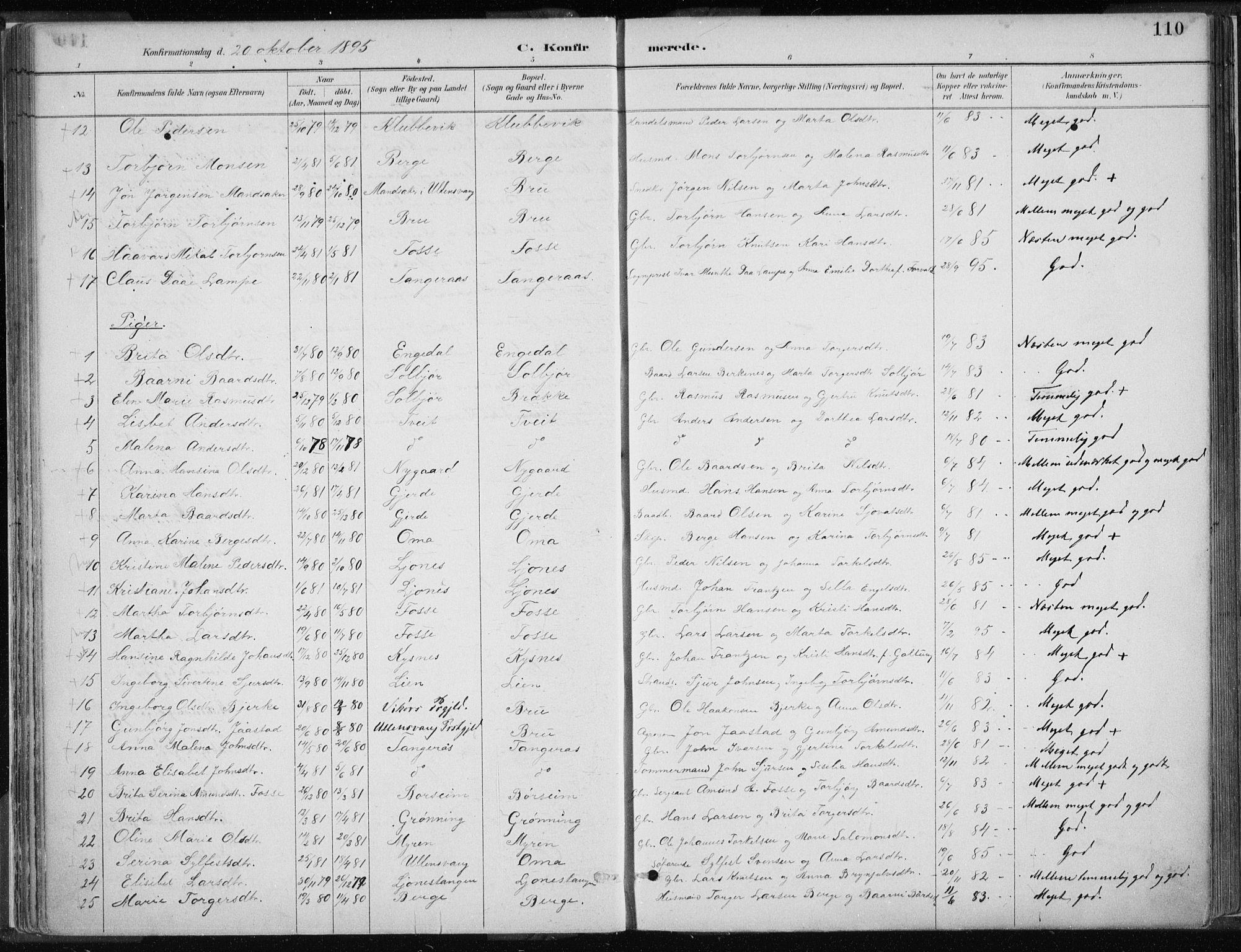 Strandebarm sokneprestembete, AV/SAB-A-78401/H/Haa: Parish register (official) no. B  1, 1886-1908, p. 110