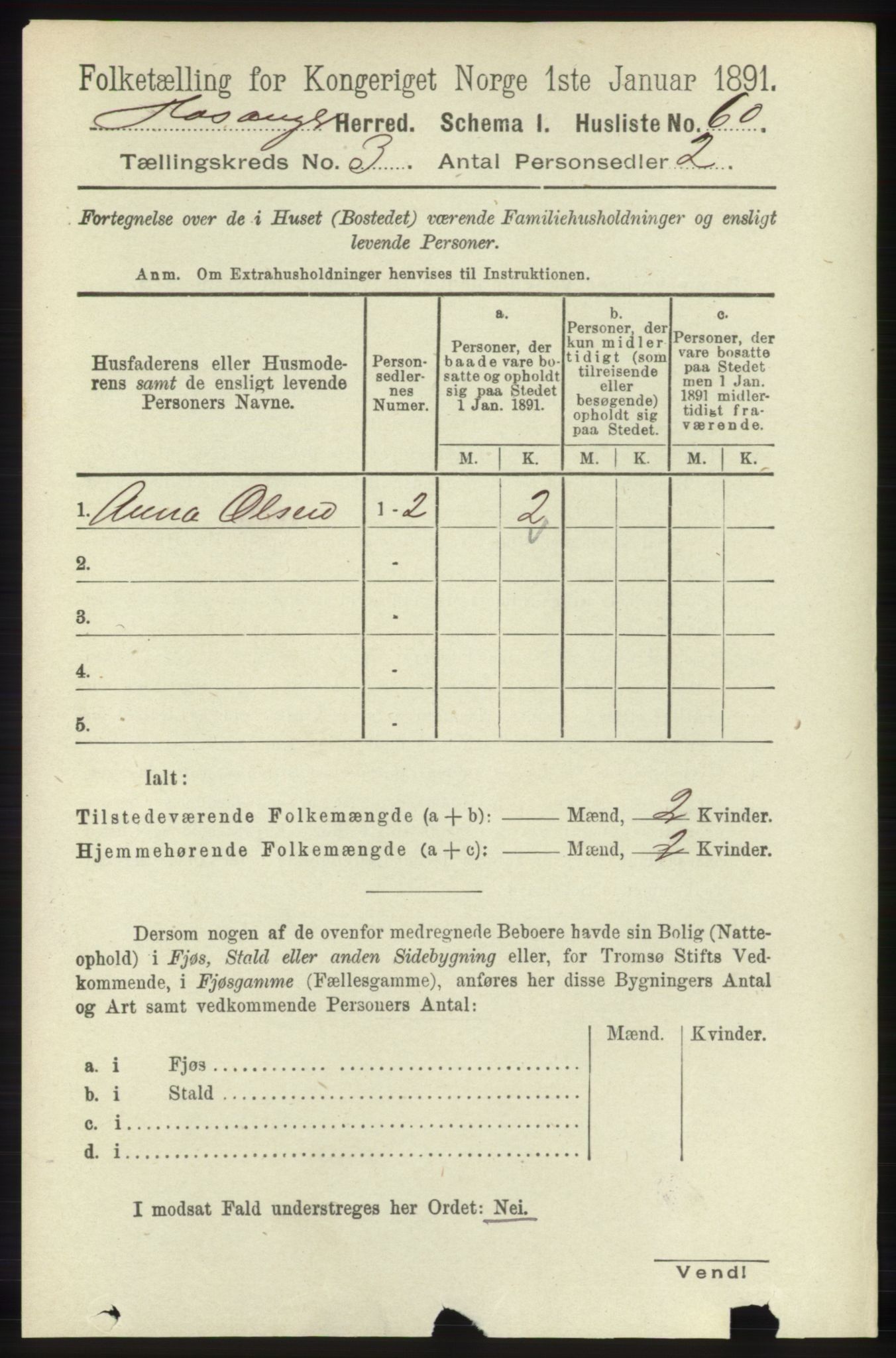 RA, 1891 census for 1253 Hosanger, 1891, p. 1015