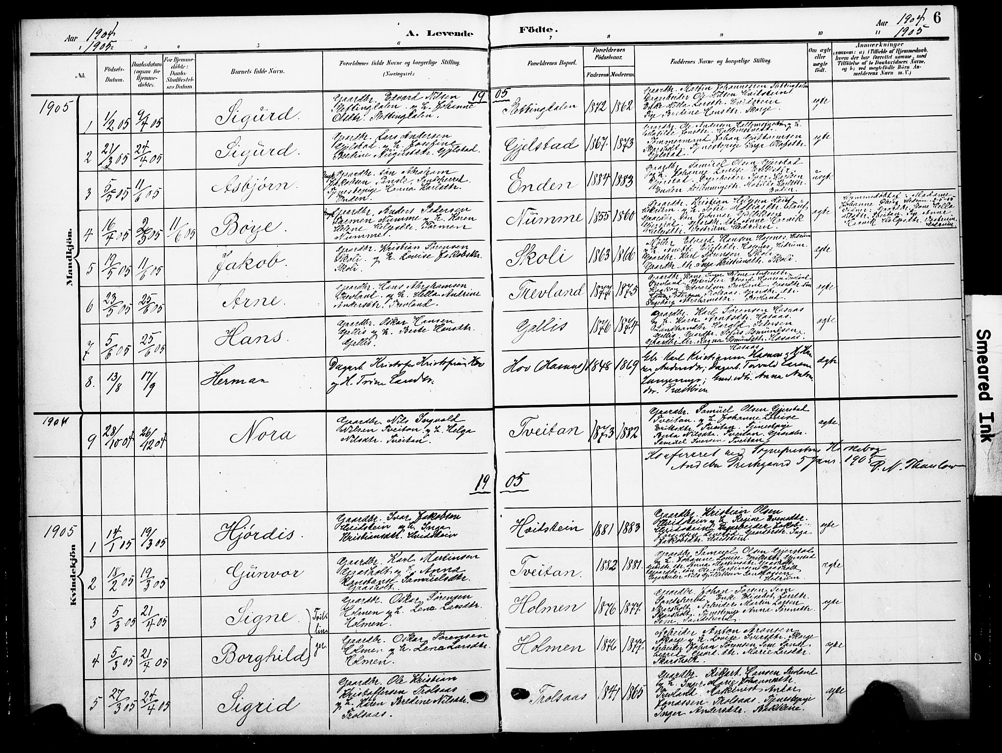 Andebu kirkebøker, AV/SAKO-A-336/G/Gc/L0001: Parish register (copy) no. III 1, 1901-1930, p. 6