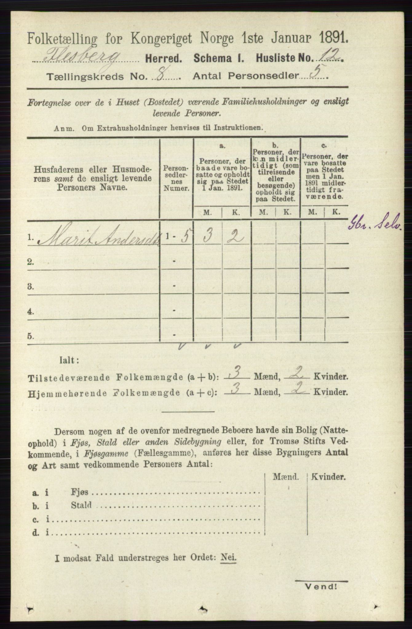 RA, 1891 census for 0631 Flesberg, 1891, p. 1347