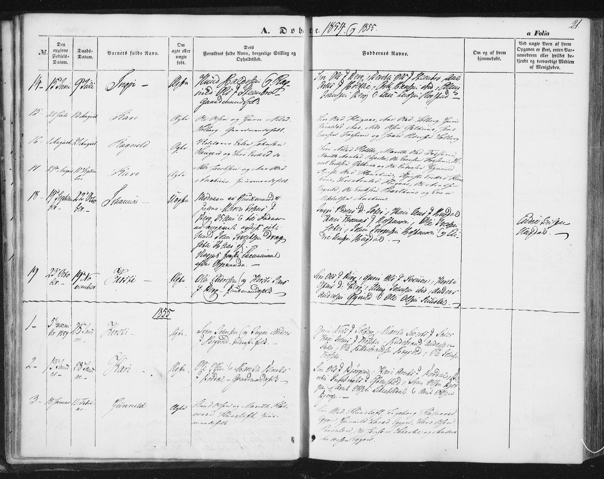 Ministerialprotokoller, klokkerbøker og fødselsregistre - Sør-Trøndelag, AV/SAT-A-1456/689/L1038: Parish register (official) no. 689A03, 1848-1872, p. 21