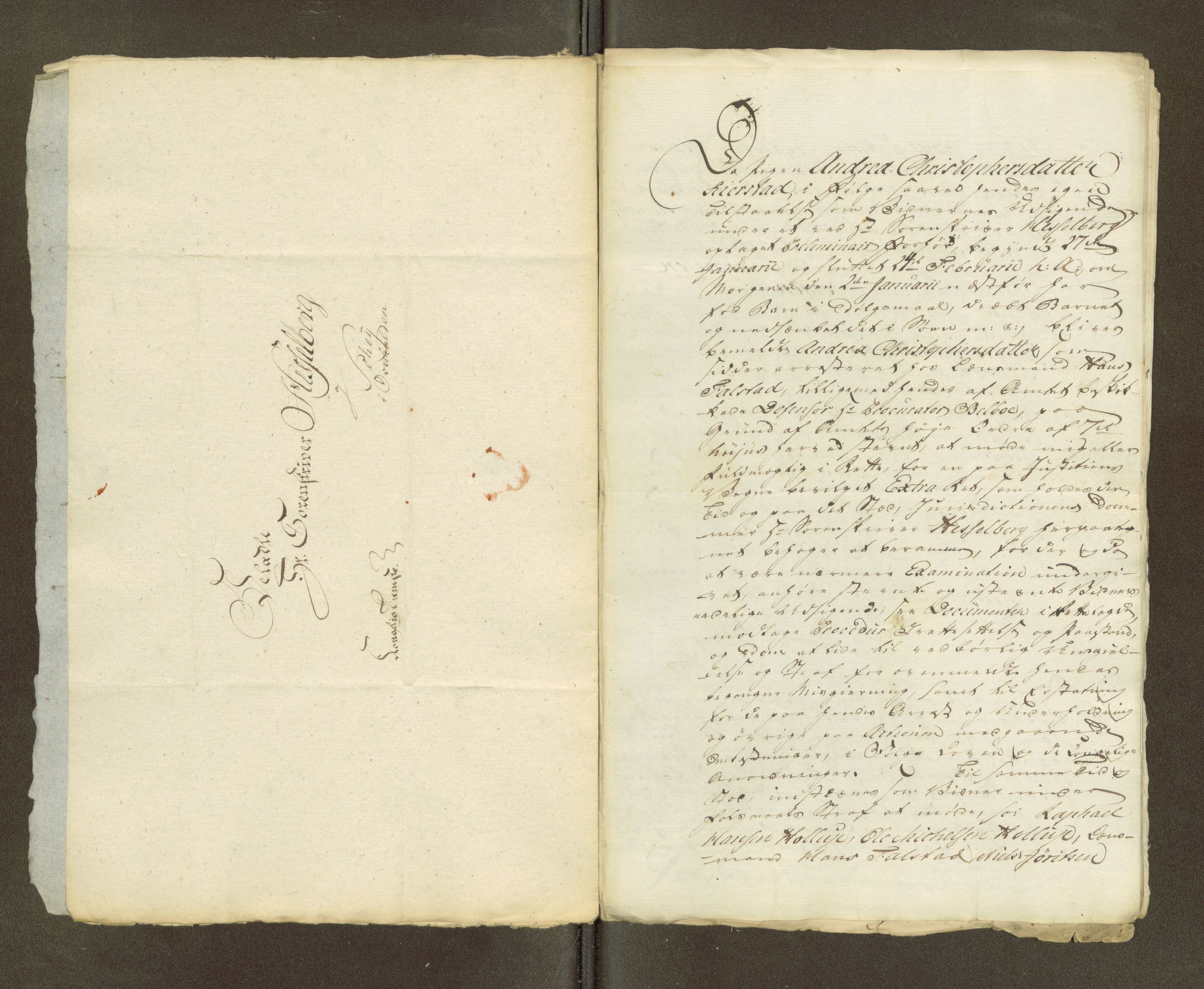 Namdal sorenskriveri, AV/SAT-A-4133/1/1/1O/1Oa/L0007: Sivile og offentlige saker, 1798, p. 6