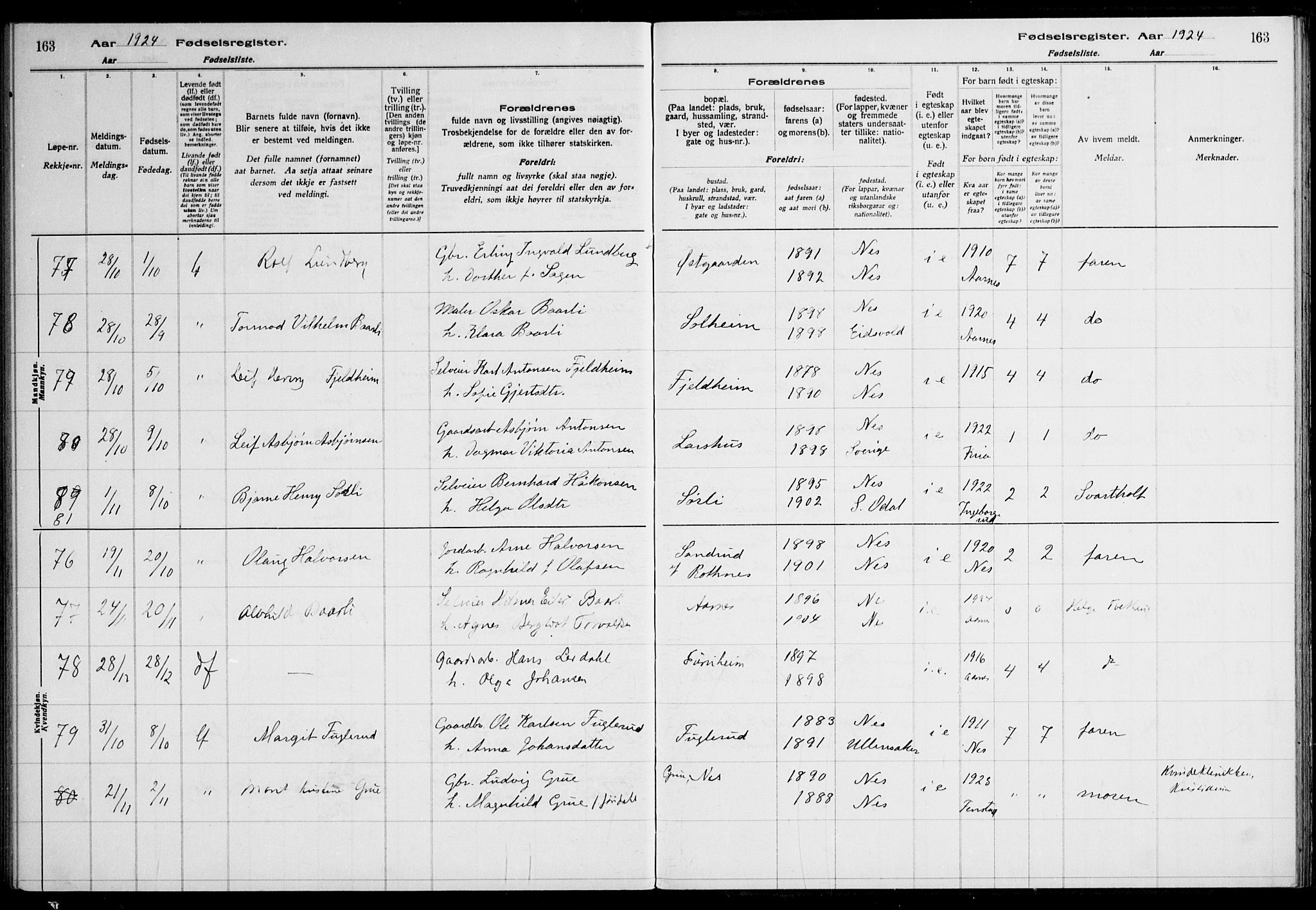 Nes prestekontor Kirkebøker, AV/SAO-A-10410/J/Ja/L0001: Birth register no. 1, 1916-1926, p. 163