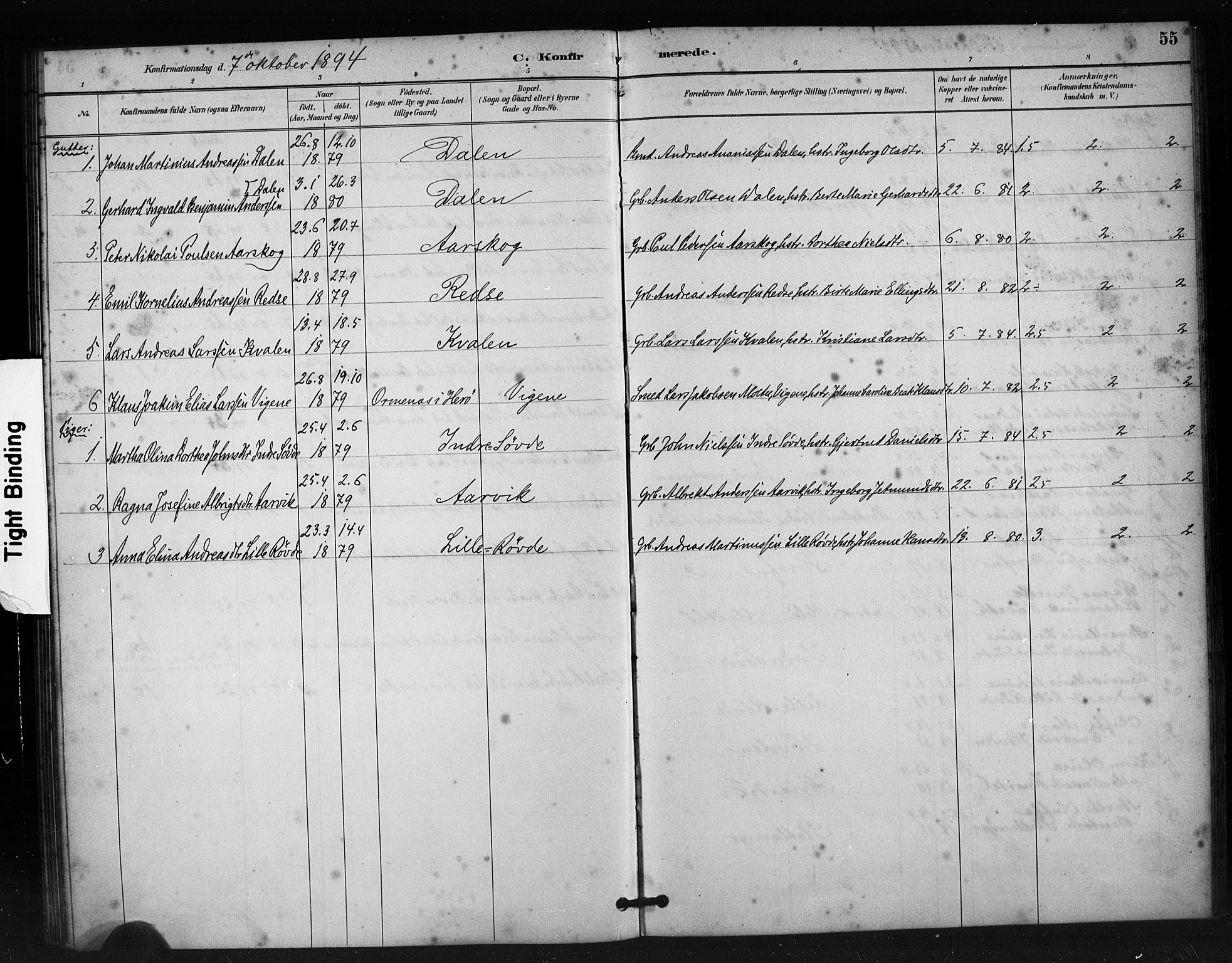 Ministerialprotokoller, klokkerbøker og fødselsregistre - Møre og Romsdal, AV/SAT-A-1454/504/L0056: Parish register (official) no. 504A03, 1884-1904, p. 55