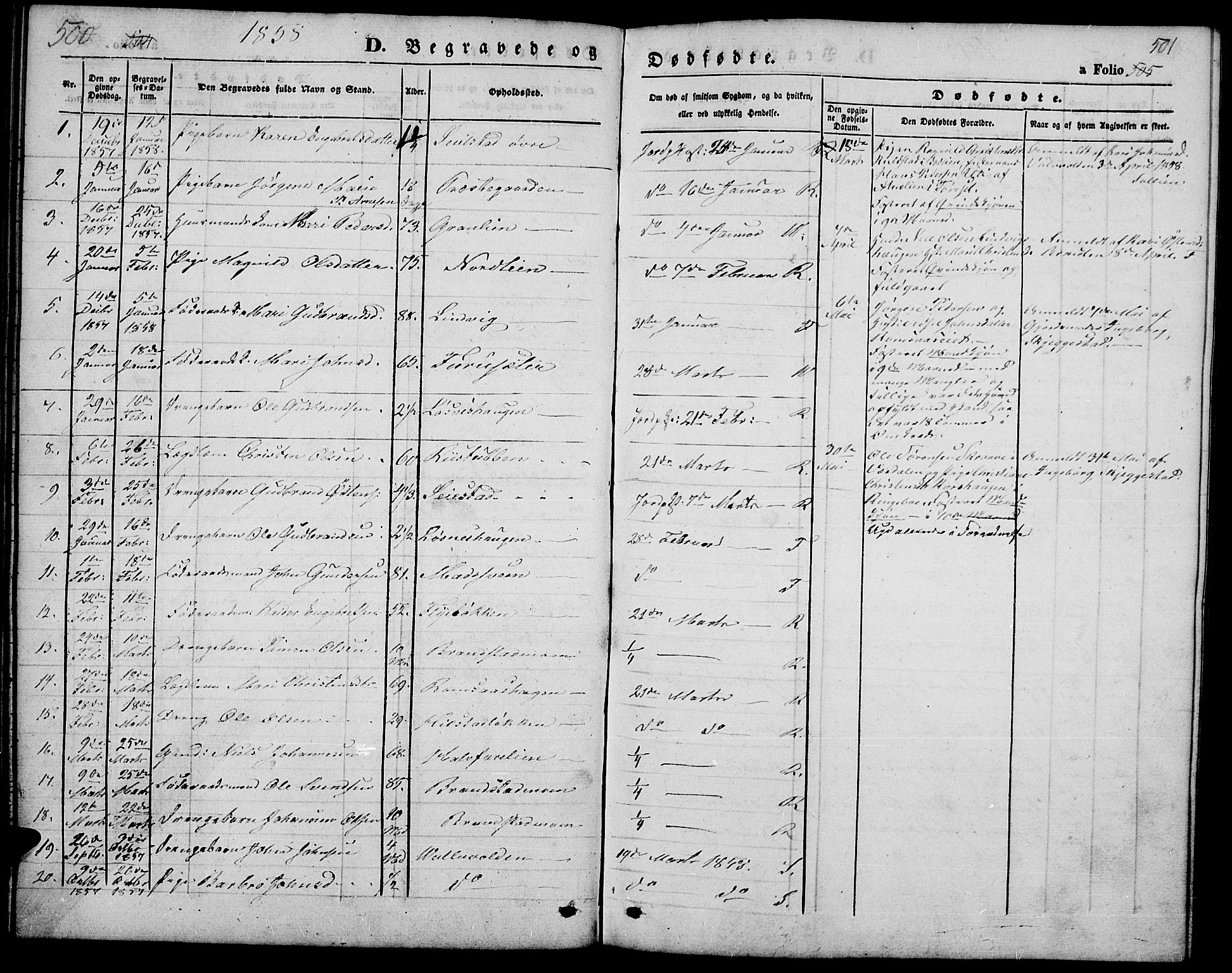 Ringebu prestekontor, SAH/PREST-082/H/Ha/Hab/L0003: Parish register (copy) no. 3, 1854-1866, p. 500-501