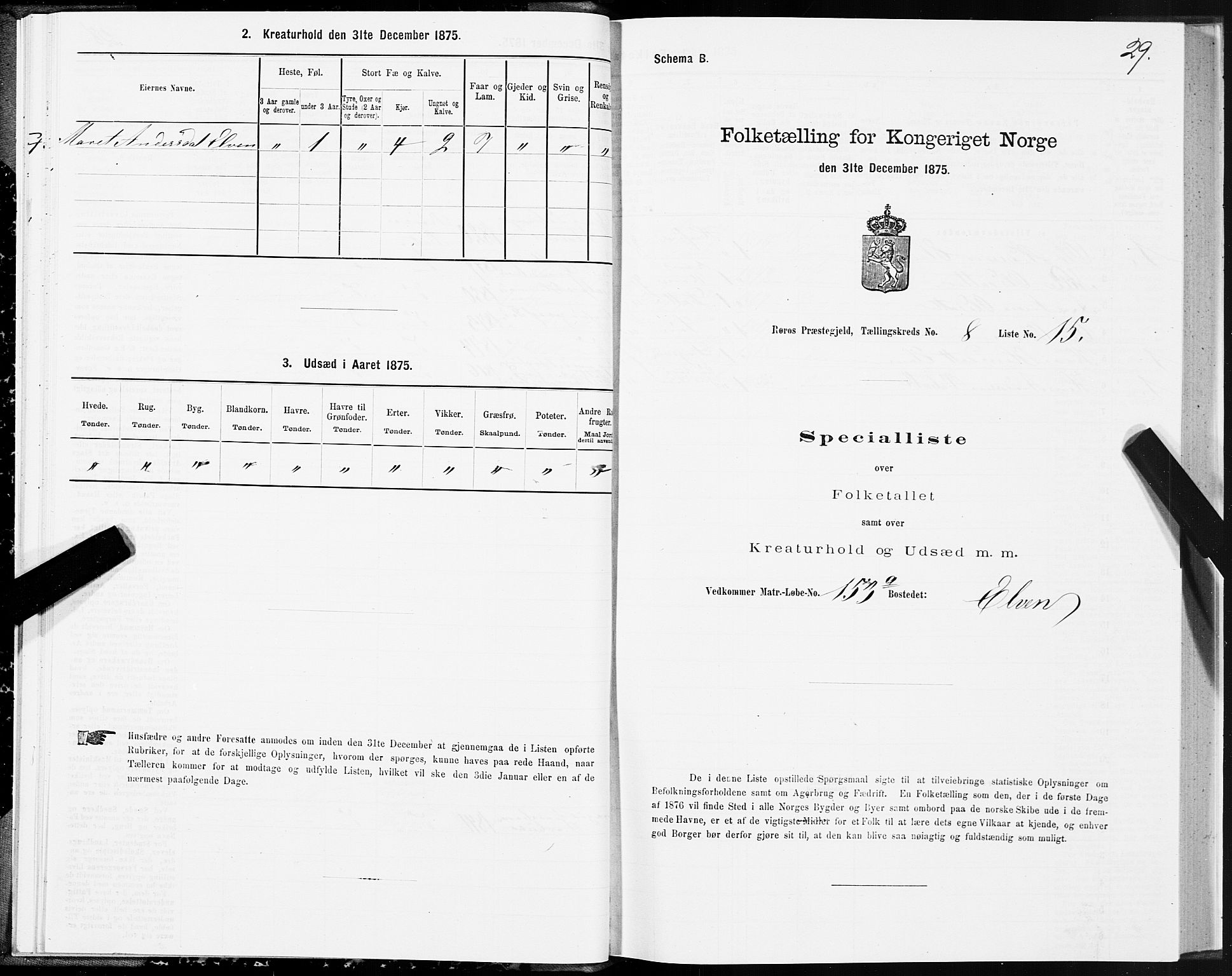 SAT, 1875 census for 1640P Røros, 1875, p. 5029