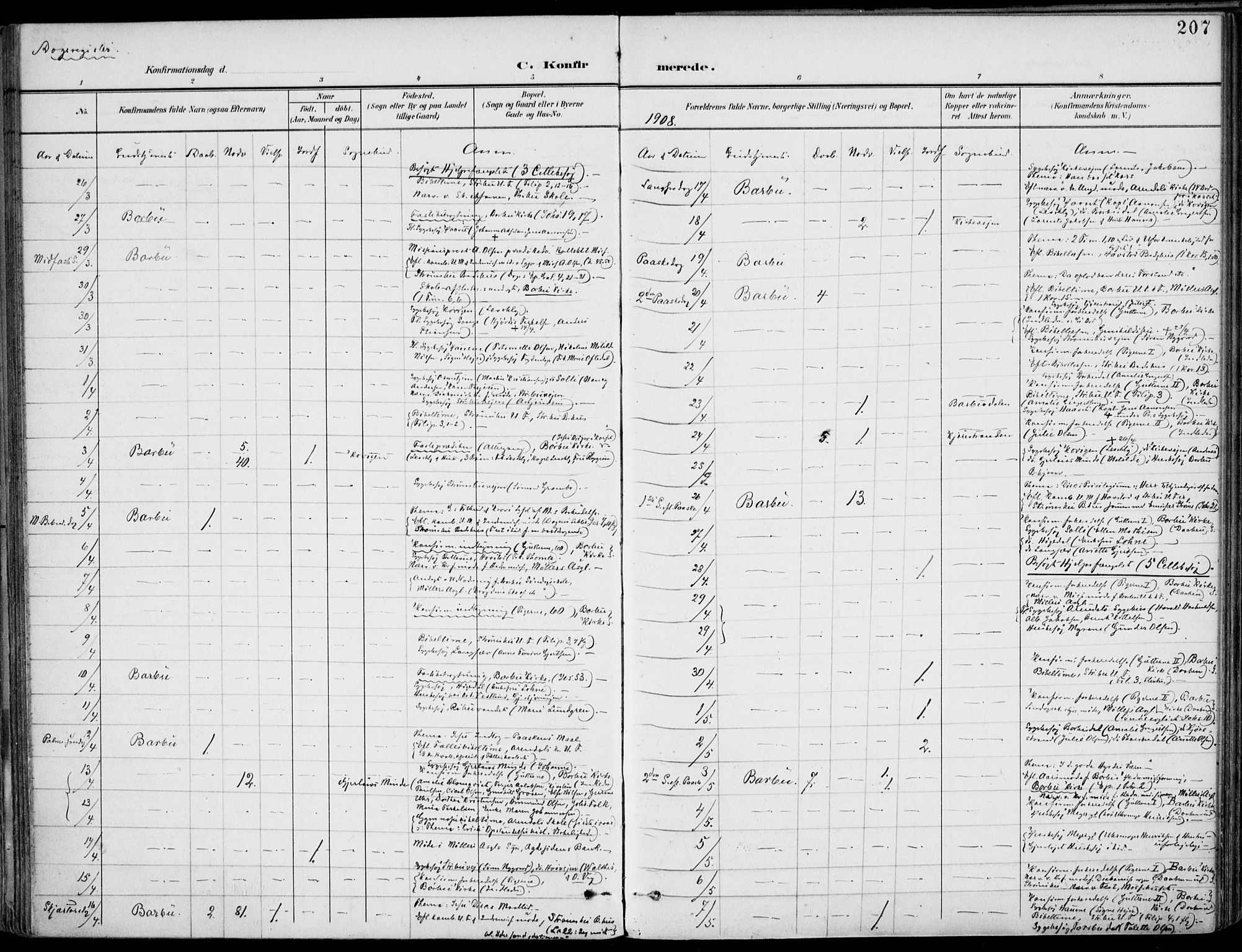 Barbu sokneprestkontor, AV/SAK-1111-0003/F/Fa/L0005: Parish register (official) no. A 5, 1899-1909, p. 207