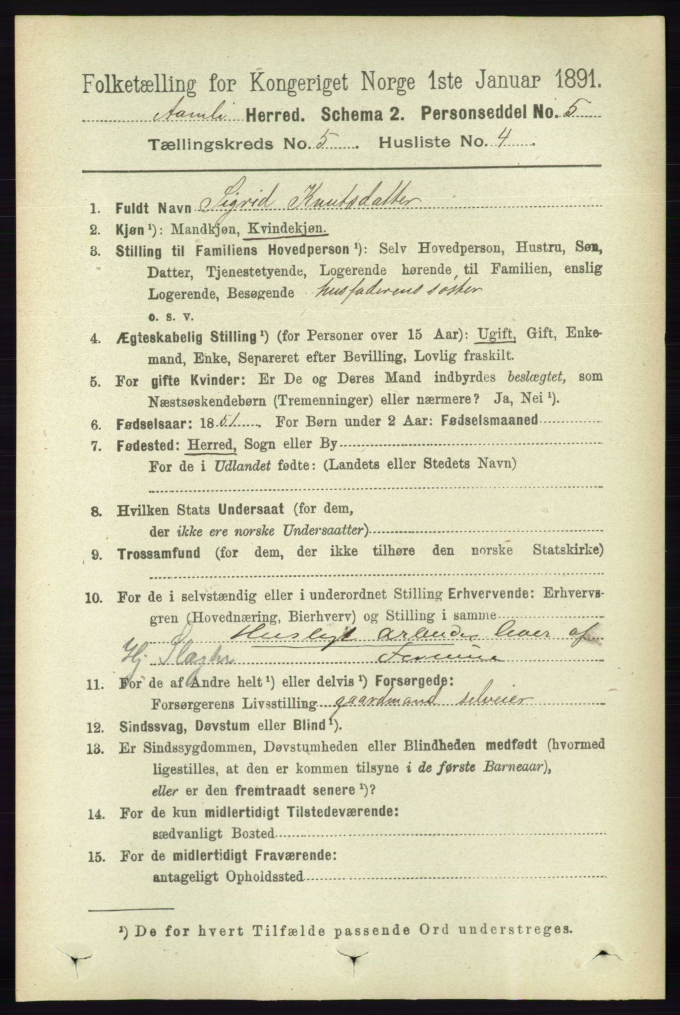 RA, 1891 census for 0929 Åmli, 1891, p. 707