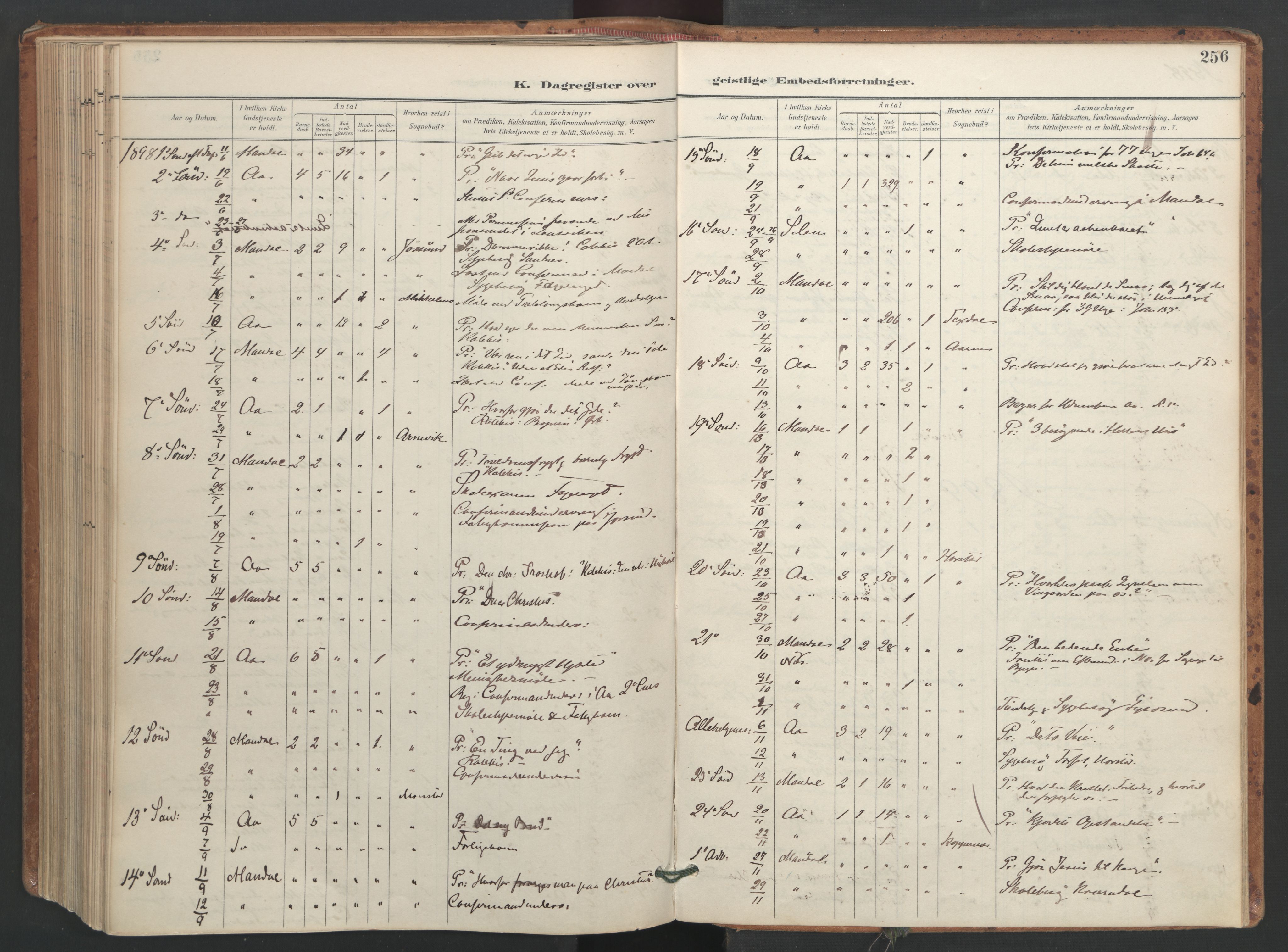 Ministerialprotokoller, klokkerbøker og fødselsregistre - Sør-Trøndelag, SAT/A-1456/655/L0681: Parish register (official) no. 655A10, 1895-1907, p. 256