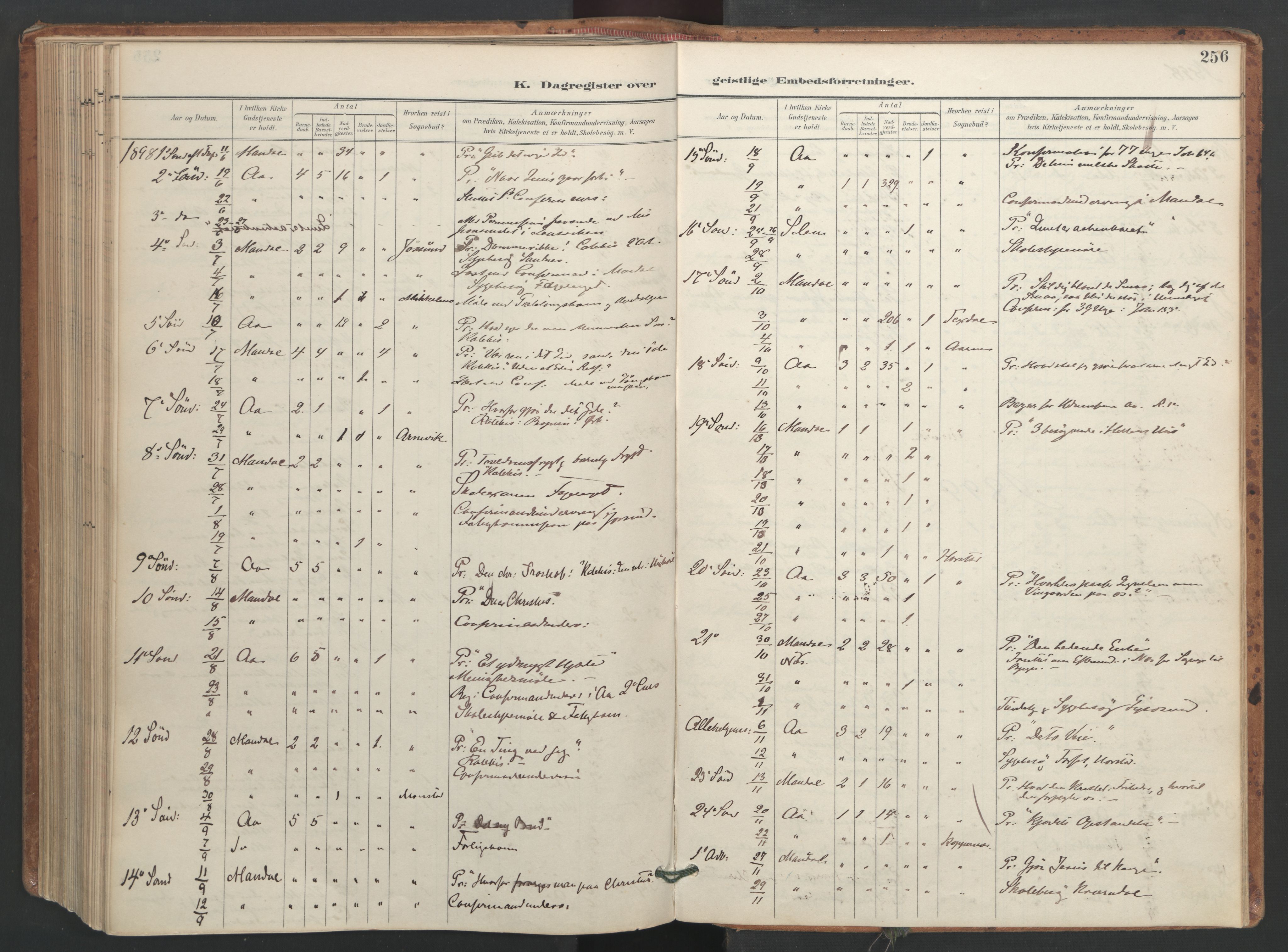 Ministerialprotokoller, klokkerbøker og fødselsregistre - Sør-Trøndelag, AV/SAT-A-1456/655/L0681: Parish register (official) no. 655A10, 1895-1907, p. 256