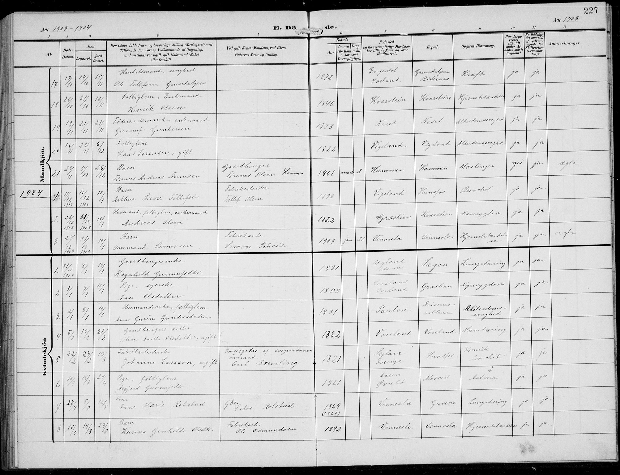 Vennesla sokneprestkontor, AV/SAK-1111-0045/Fb/Fbb/L0005: Parish register (copy) no. B 5, 1903-1913, p. 227