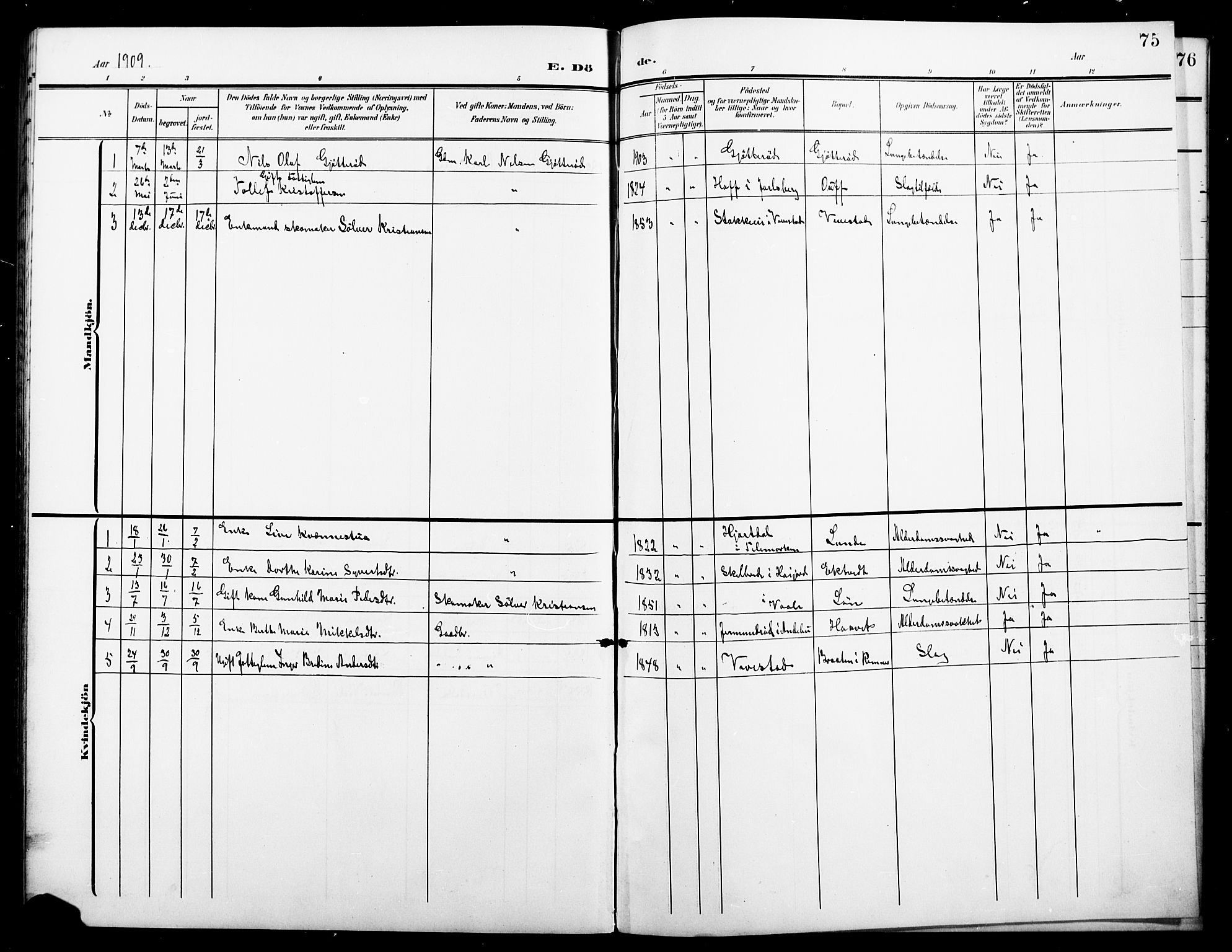 Ramnes kirkebøker, AV/SAKO-A-314/G/Gc/L0002: Parish register (copy) no. III 2, 1903-1924, p. 75