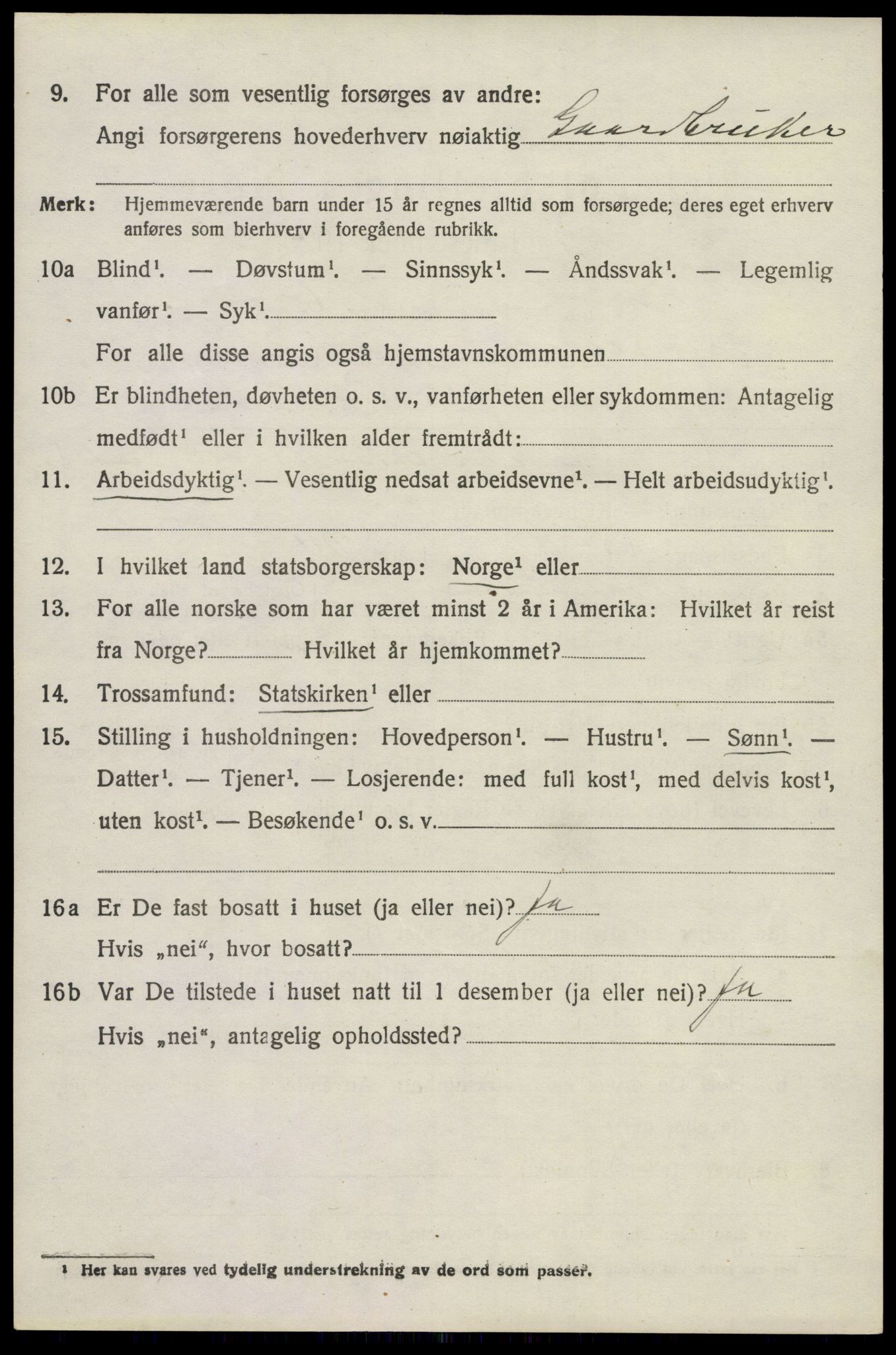 SAKO, 1920 census for Brunlanes, 1920, p. 9262