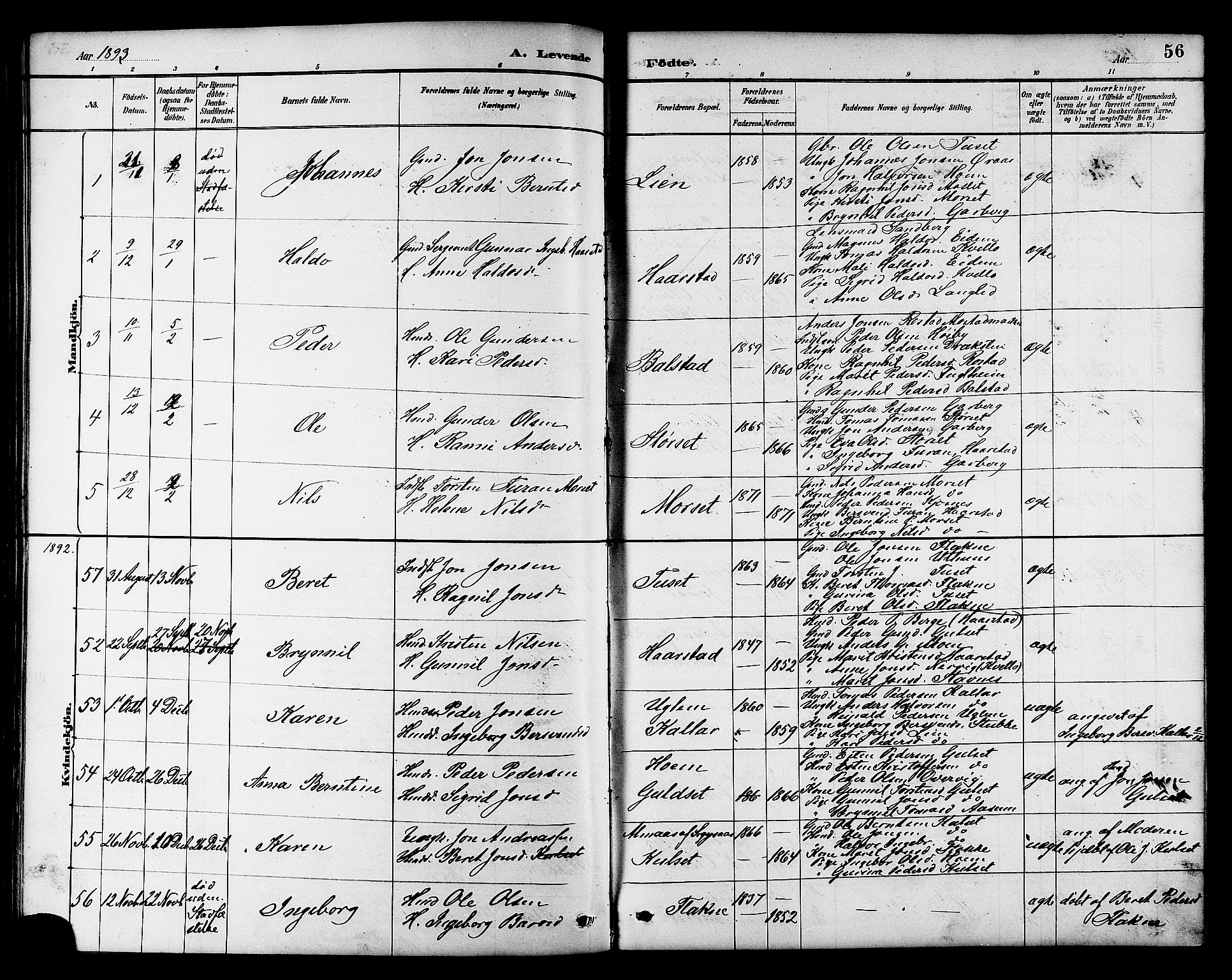 Ministerialprotokoller, klokkerbøker og fødselsregistre - Sør-Trøndelag, AV/SAT-A-1456/695/L1157: Parish register (copy) no. 695C08, 1889-1913, p. 56