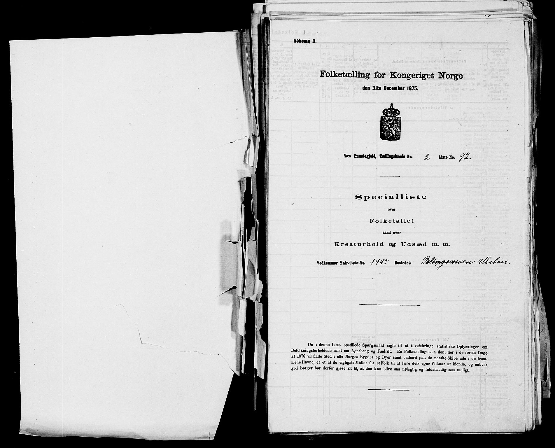 SAKO, 1875 census for 0616P Nes, 1875, p. 277