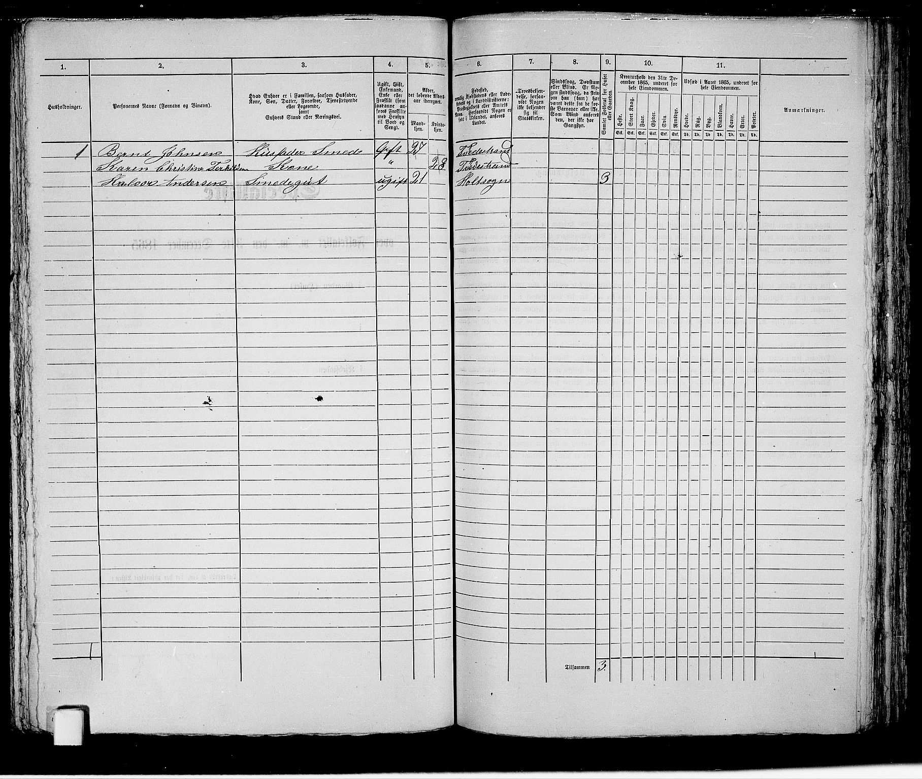 RA, 1865 census for Holt/Tvedestrand, 1865, p. 212