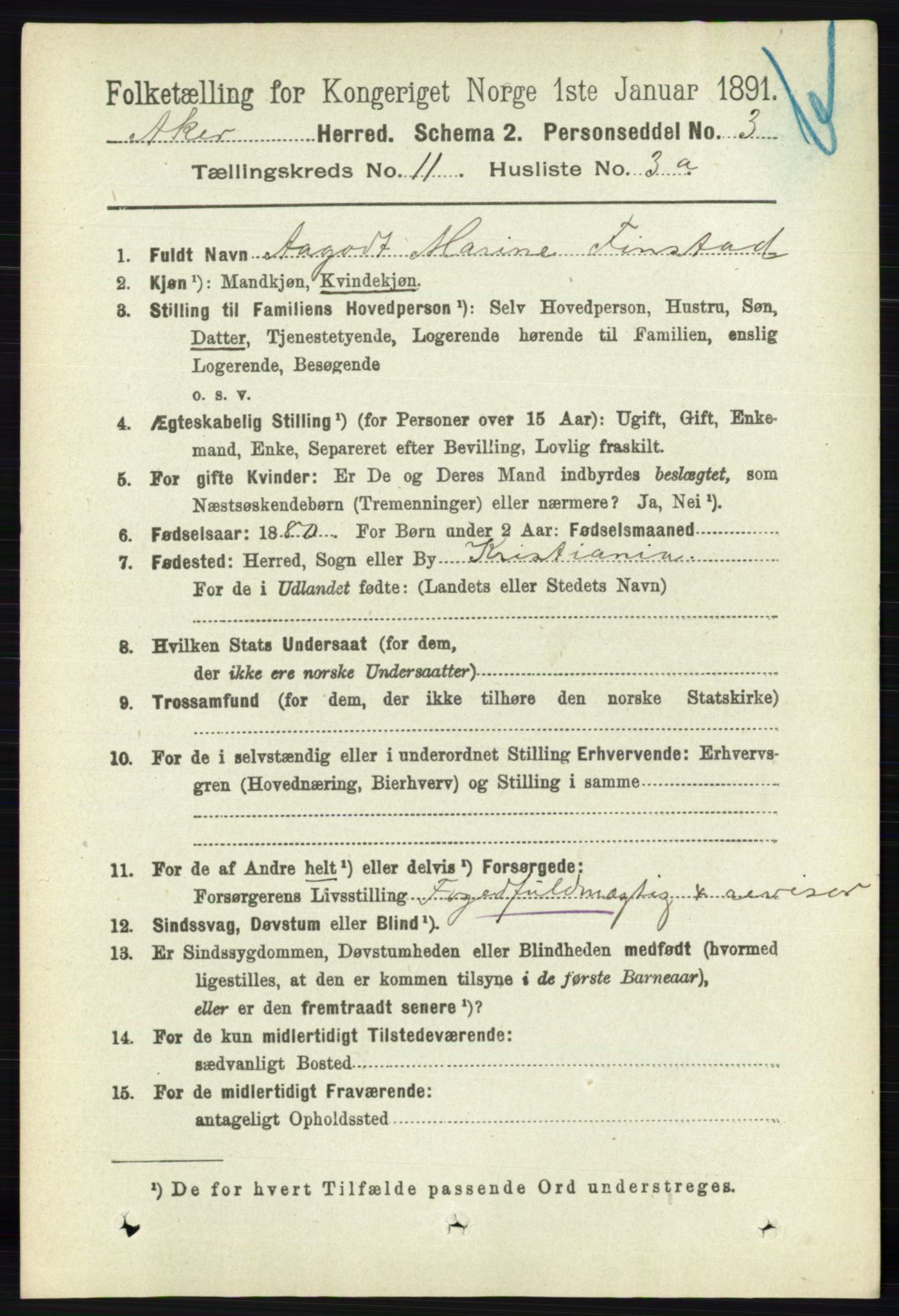 RA, 1891 census for 0218 Aker, 1891, p. 10193