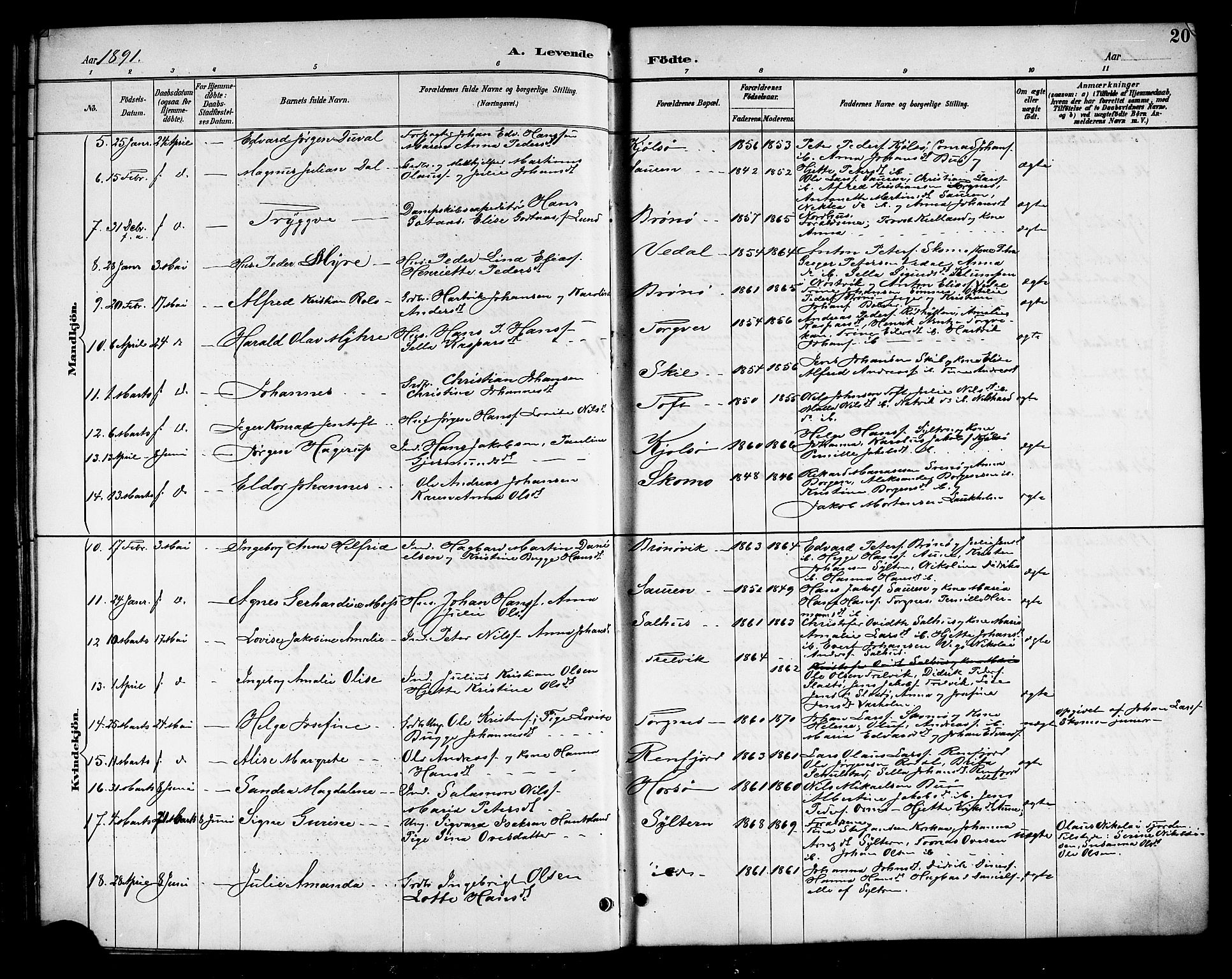 Ministerialprotokoller, klokkerbøker og fødselsregistre - Nordland, SAT/A-1459/813/L0213: Parish register (copy) no. 813C05, 1887-1903, p. 20