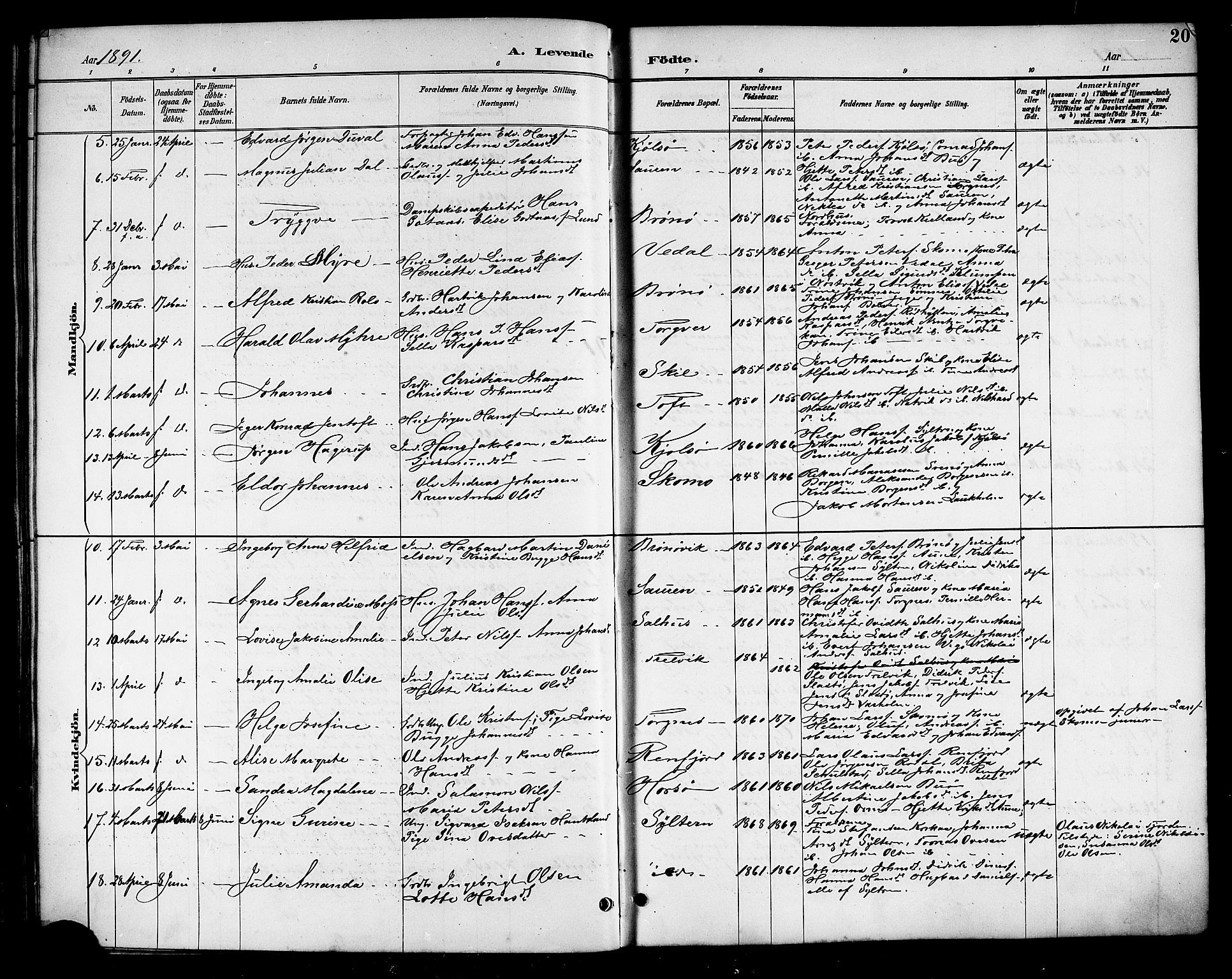 Ministerialprotokoller, klokkerbøker og fødselsregistre - Nordland, AV/SAT-A-1459/813/L0213: Parish register (copy) no. 813C05, 1887-1903, p. 20