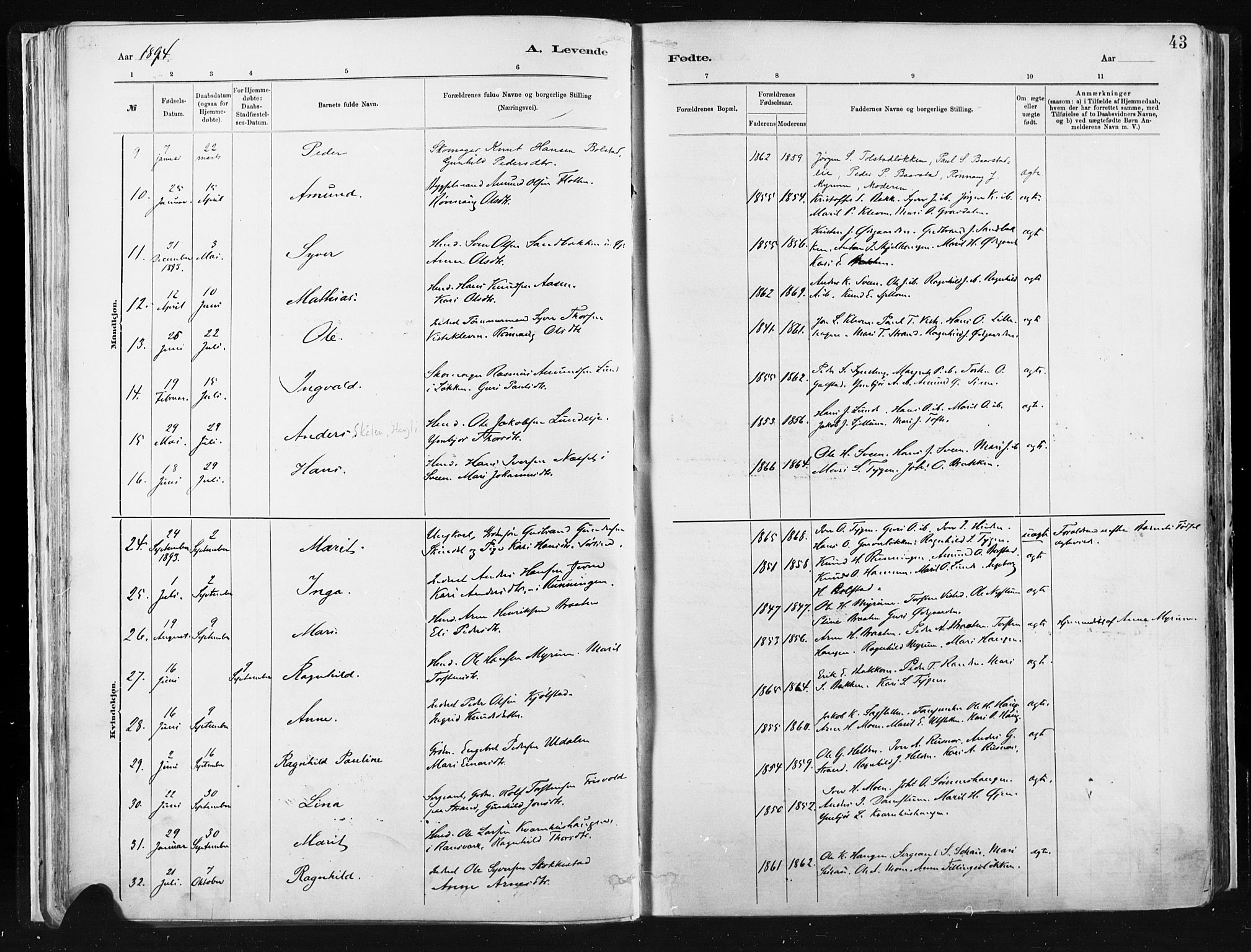 Vågå prestekontor, AV/SAH-PREST-076/H/Ha/Haa/L0009: Parish register (official) no. 9, 1886-1904, p. 43