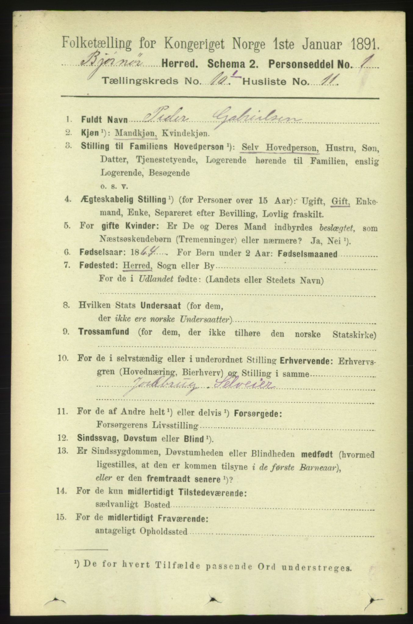 RA, 1891 census for 1632 Bjørnør, 1891, p. 4202