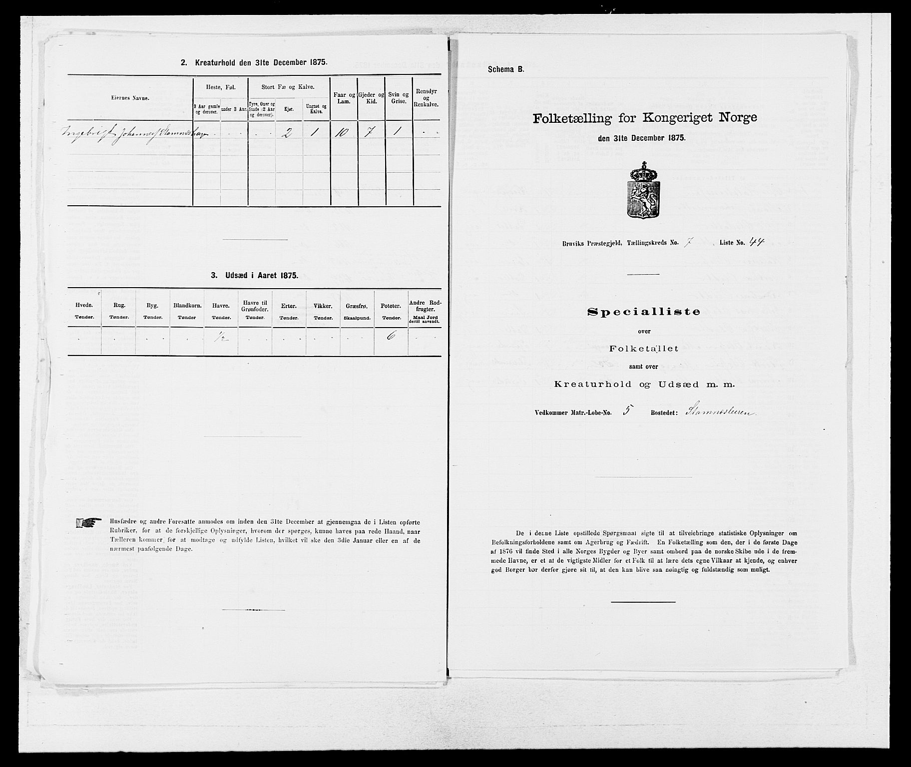 SAB, 1875 census for 1251P Bruvik, 1875, p. 577