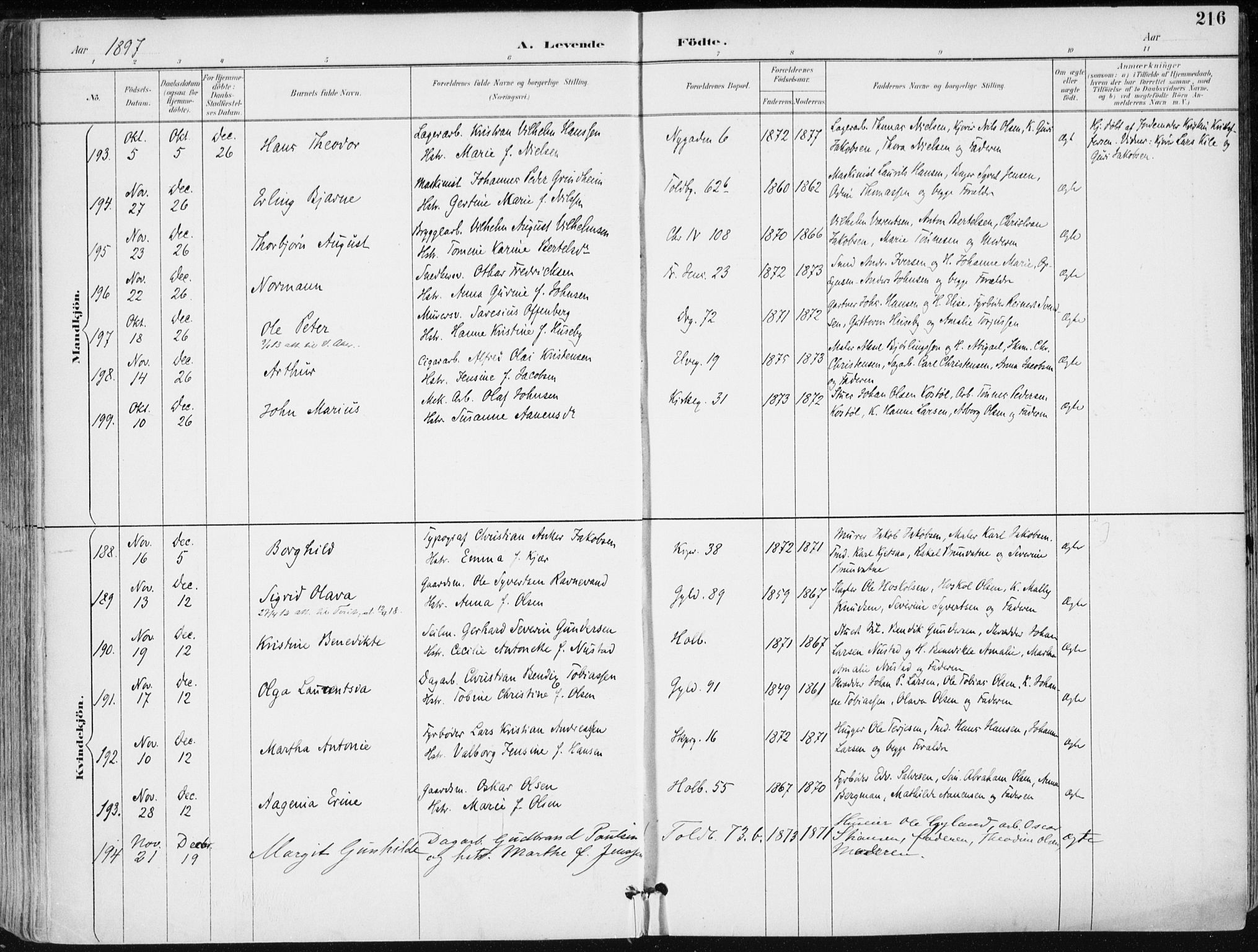 Kristiansand domprosti, AV/SAK-1112-0006/F/Fa/L0019: Parish register (official) no. A 18, 1890-1897, p. 216