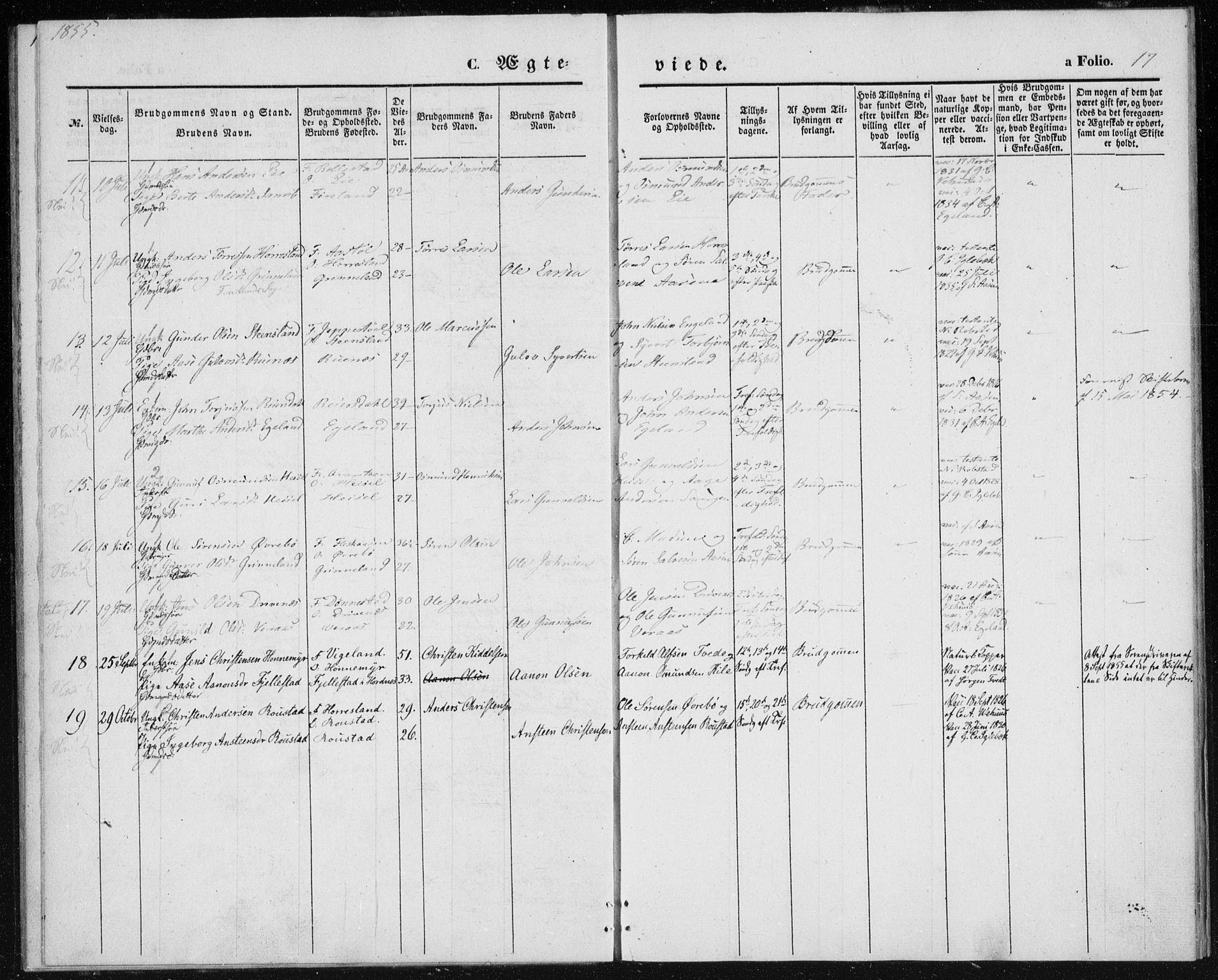 Vennesla sokneprestkontor, SAK/1111-0045/Fa/Fac/L0006: Parish register (official) no. A 6, 1846-1855, p. 17