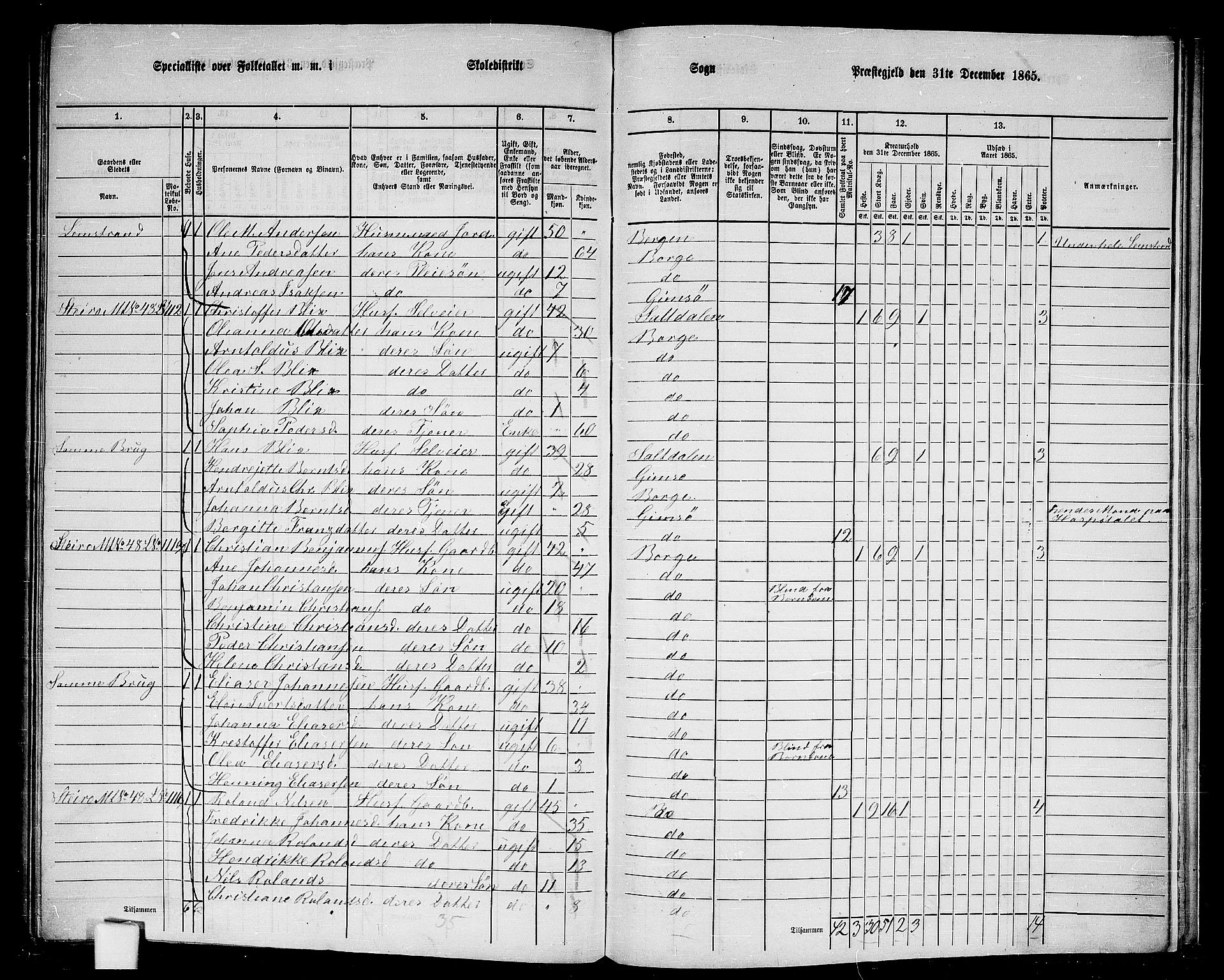 RA, 1865 census for Borge, 1865, p. 75