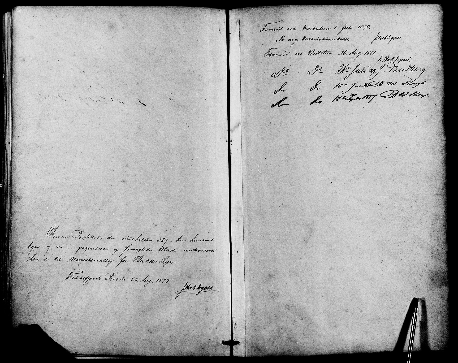 Bakke sokneprestkontor, SAK/1111-0002/F/Fa/Faa/L0007: Parish register (official) no. A 7, 1877-1886, p. 314