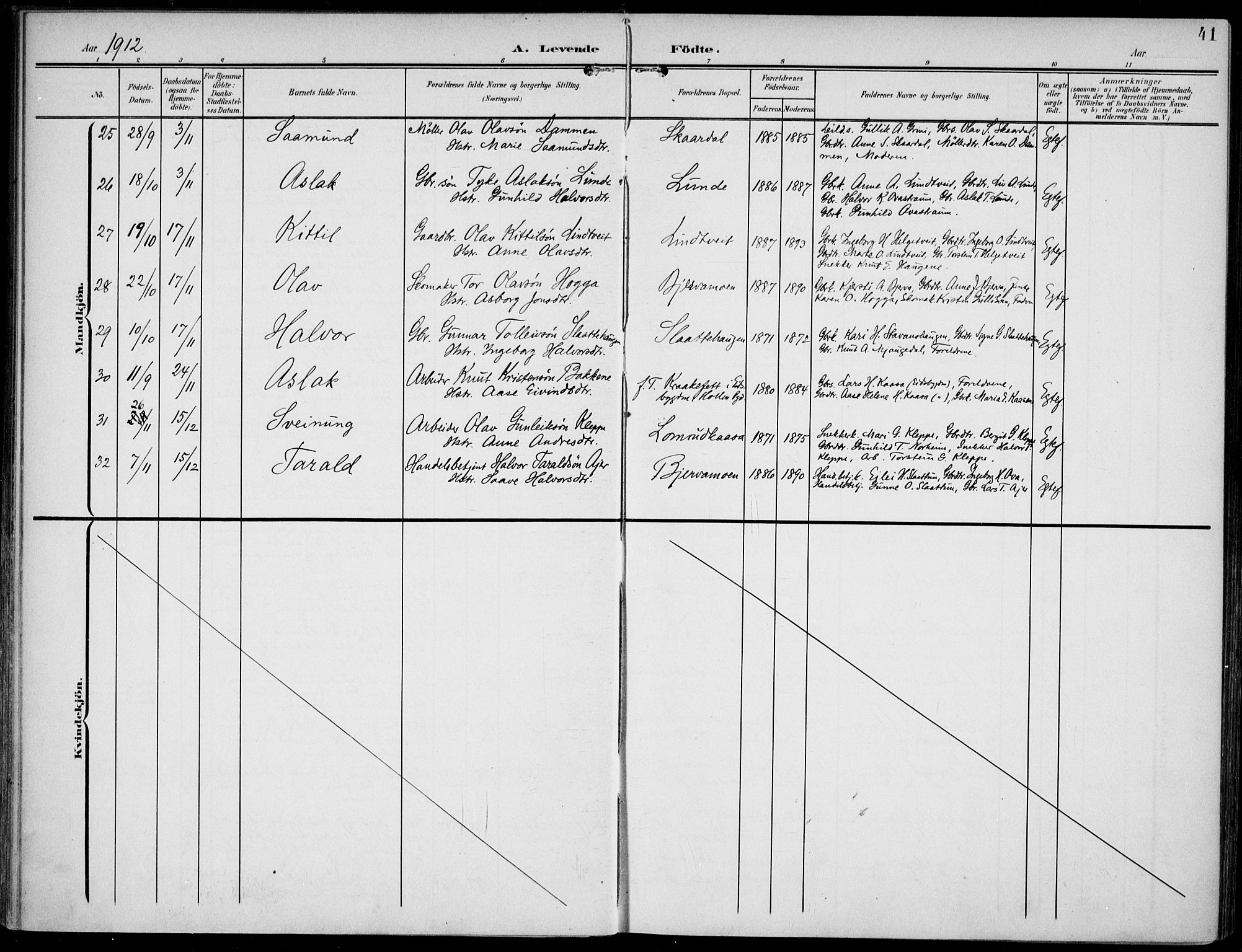 Lunde kirkebøker, AV/SAKO-A-282/F/Fa/L0004: Parish register (official) no. I 4, 1902-1913, p. 41